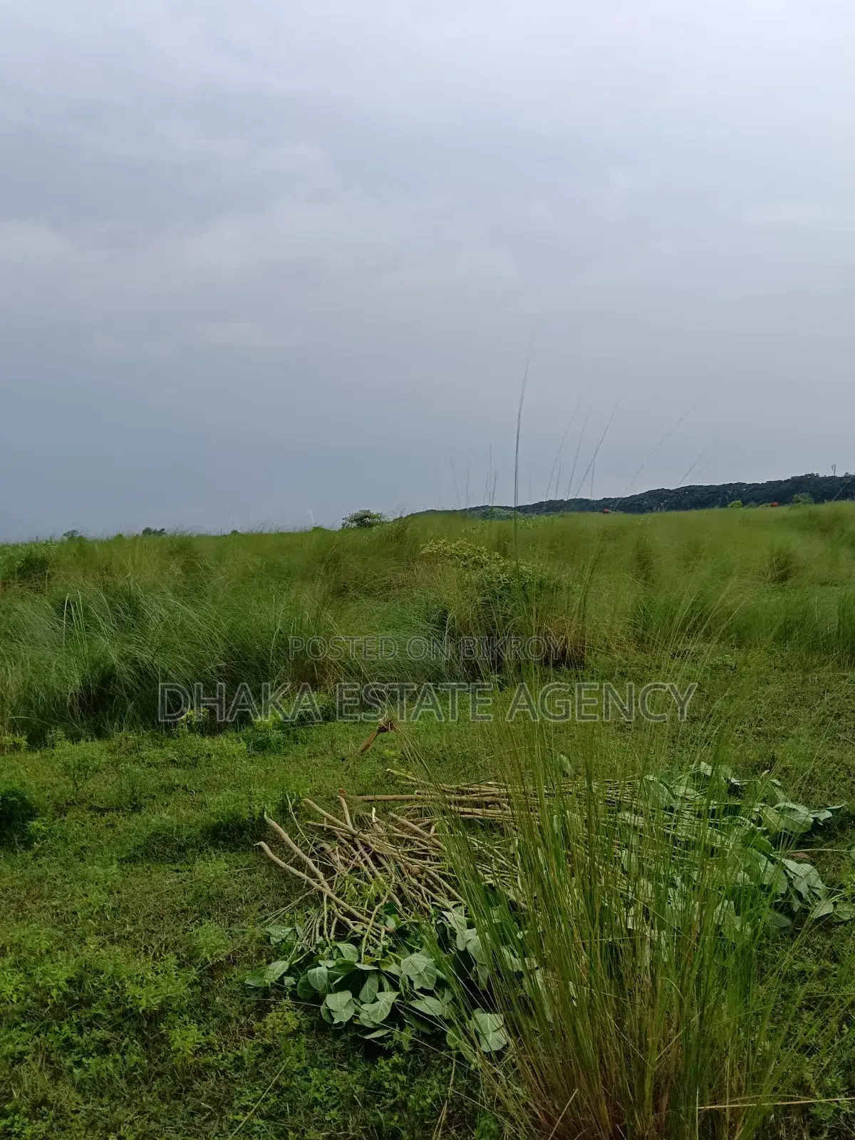 Block N Extension, 20 Katha 3 Side Road-40/25/25 in Basundhara