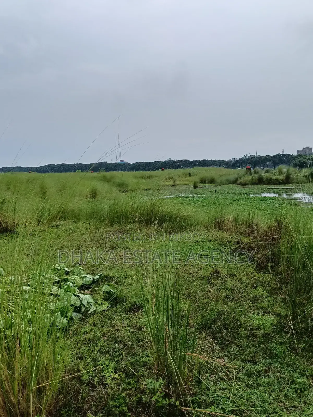 Block N Extension, 20 Katha 3 Side Road-40/25/25 in Basundhara