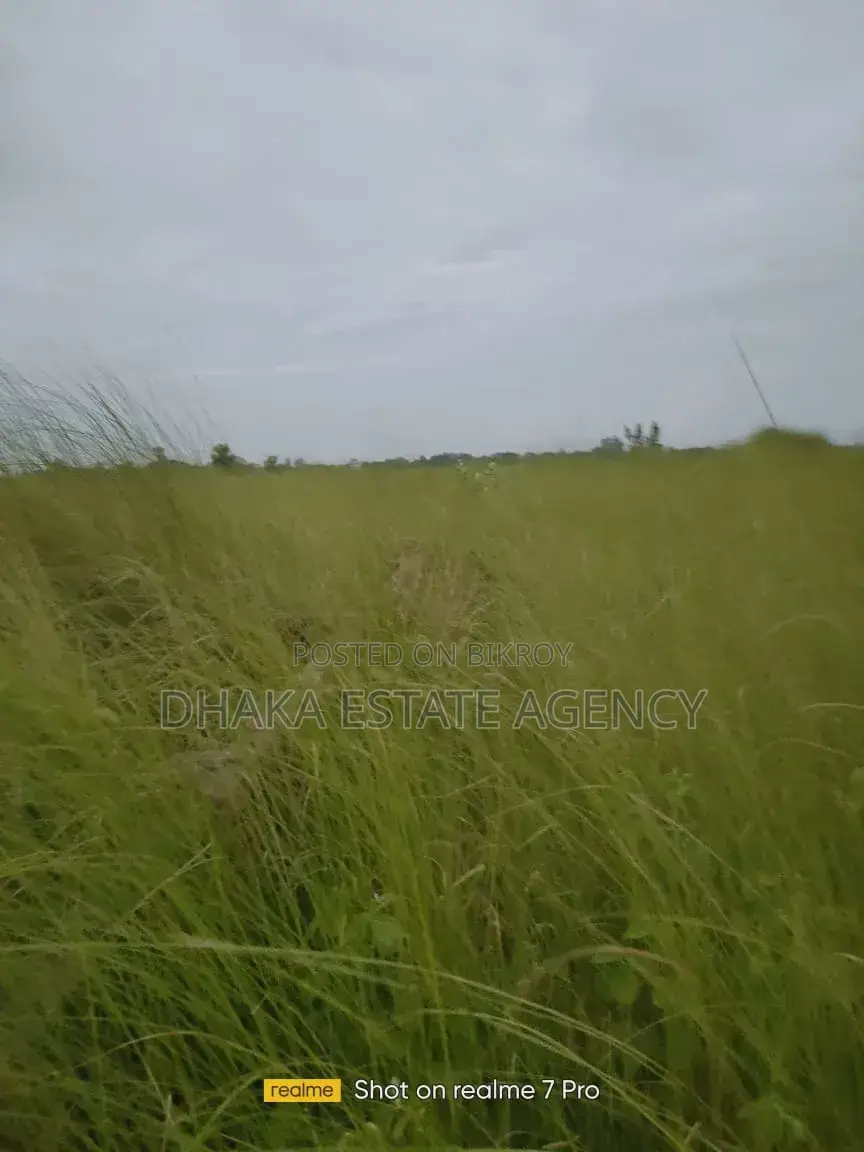 P-Extension, Block P-Extension South Face 3 Katha Plot Sale in Basundhara