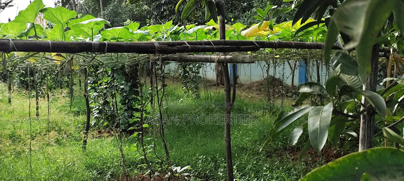Rajuk Purbachal Sector 8 7.5 Katha Land for Sale in Purbachal