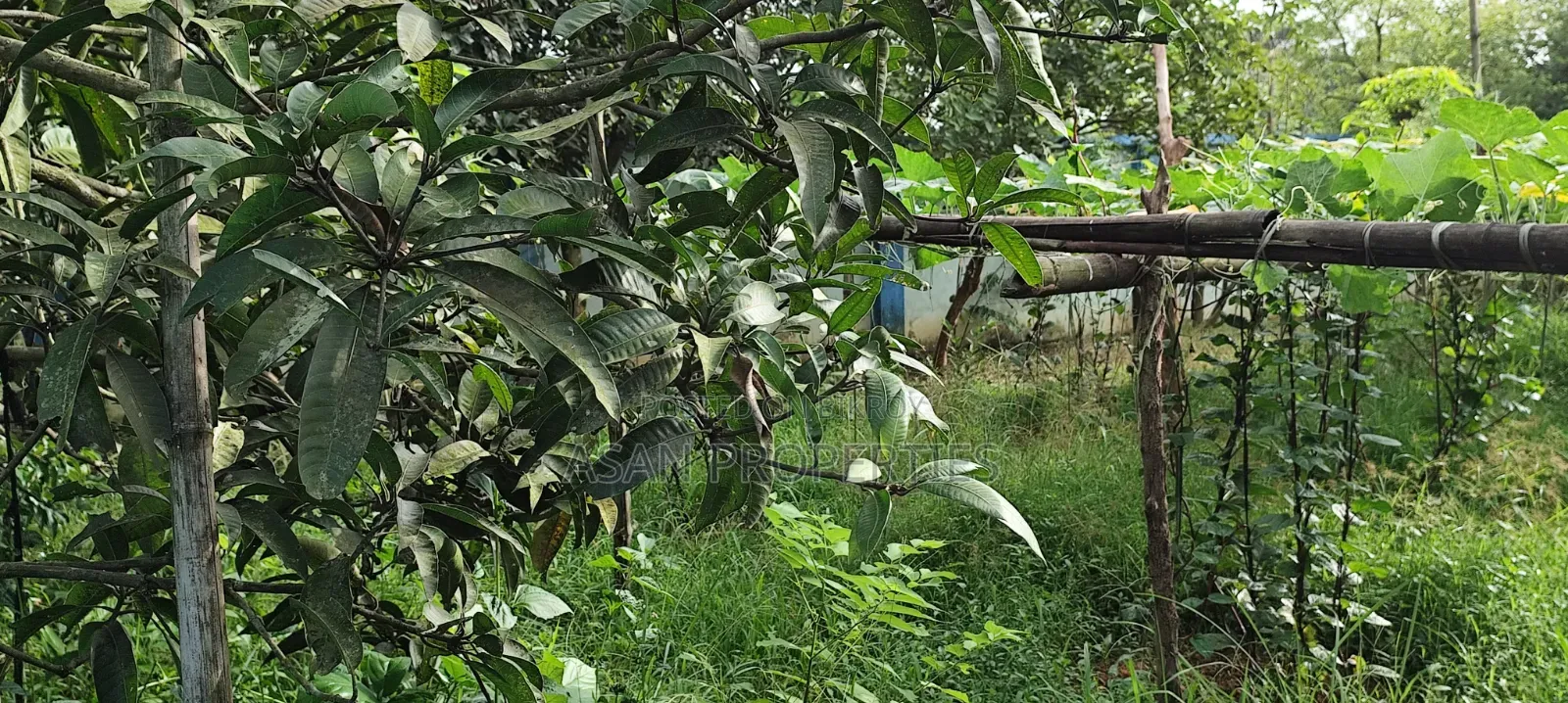 Rajuk Purbachal Sector 8 7.5 Katha Land for Sale in Purbachal