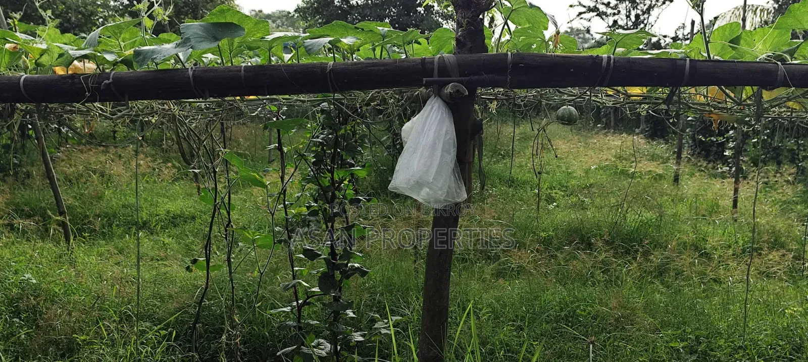 Rajuk Purbachal Sector 8 7.5 Katha Land for Sale in Purbachal