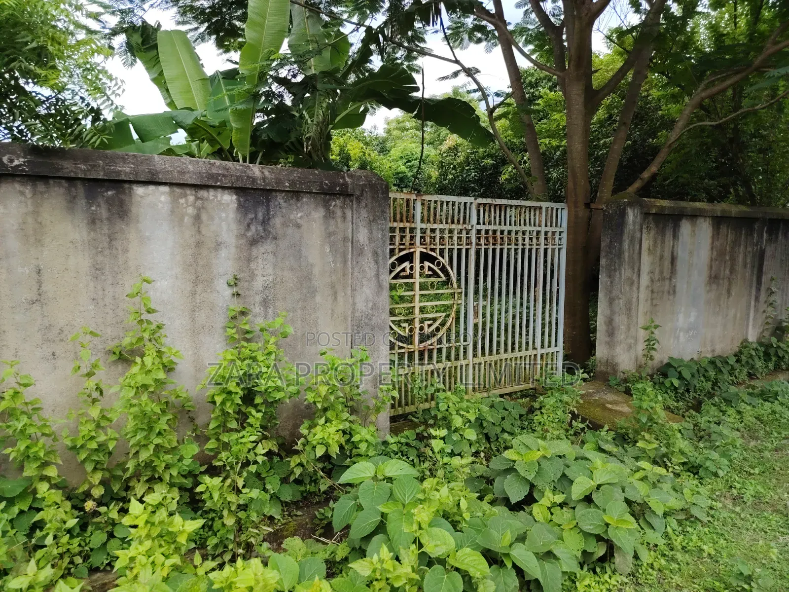 3 katha plot for sale on 54 feet road in Purbachal