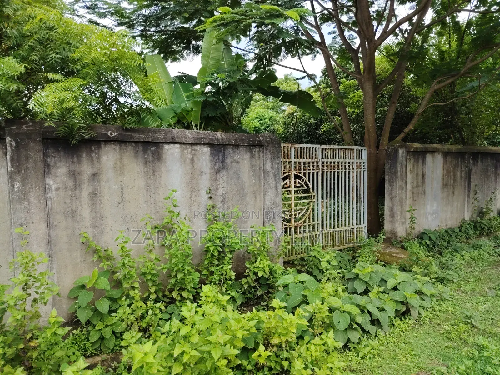 3 katha plot for sale on 54 feet road in Purbachal