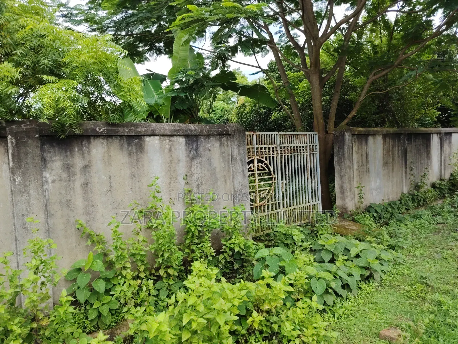 3 katha plot for sale on 54 feet road in Purbachal