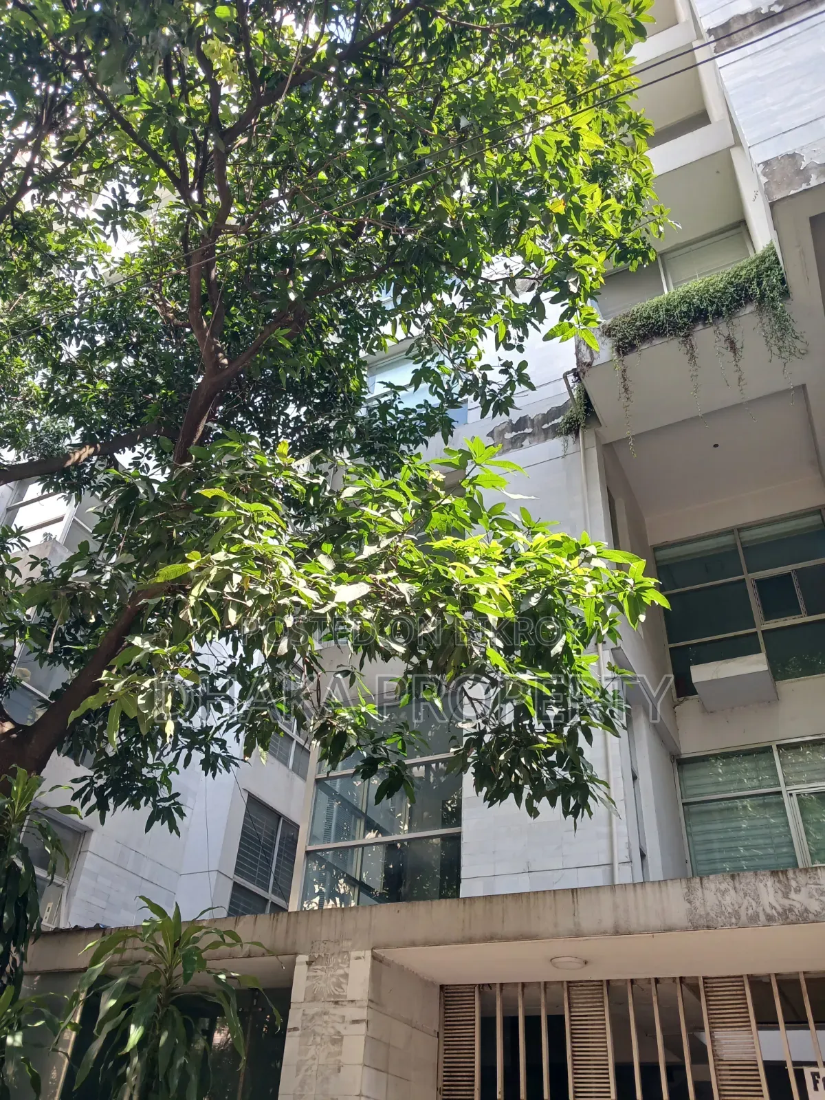 9 Stories Building Full Building for Office Rent at Gulshan in Gulshan