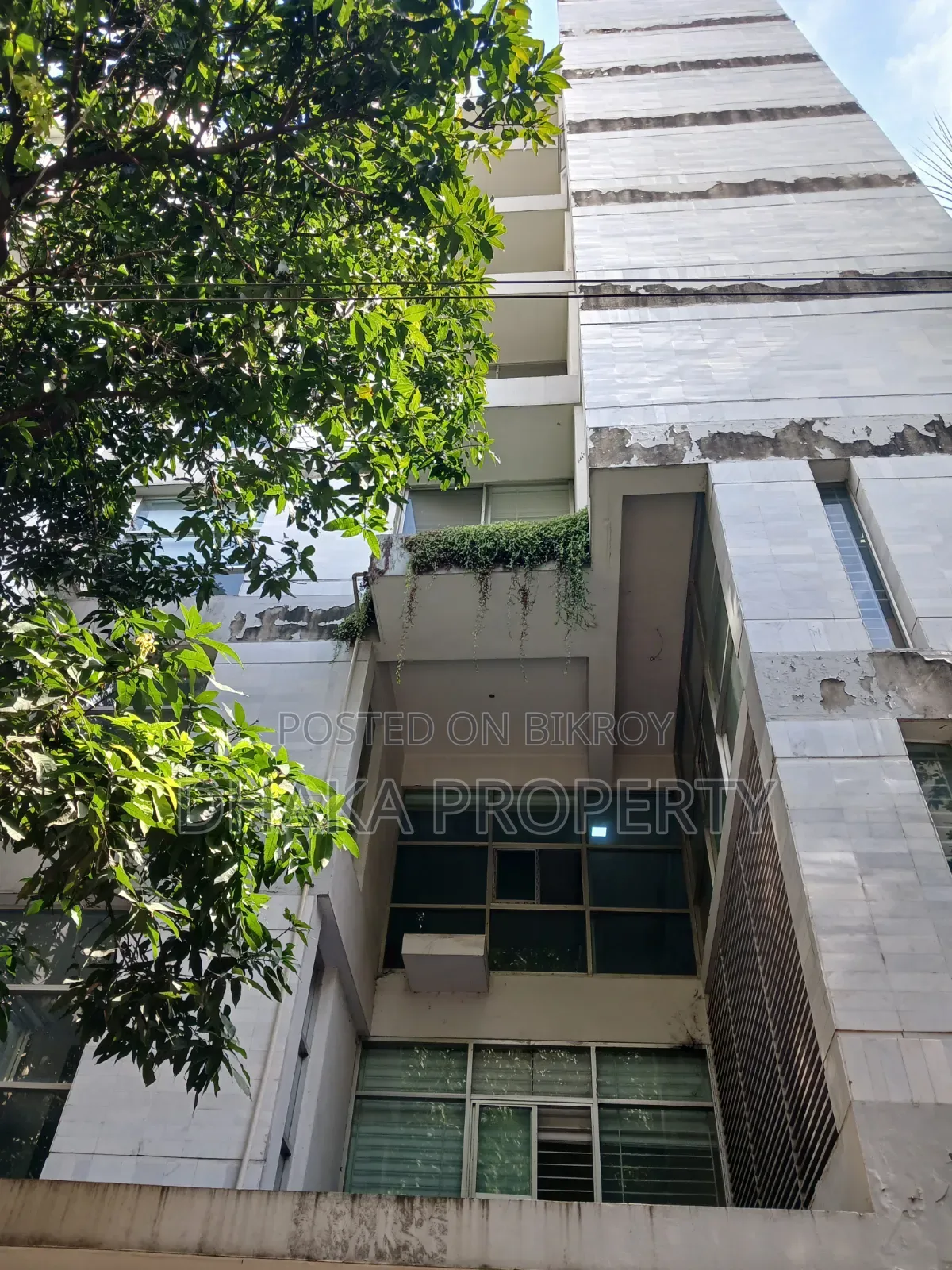 9 Stories Building Full Building for Office Rent at Gulshan in Gulshan