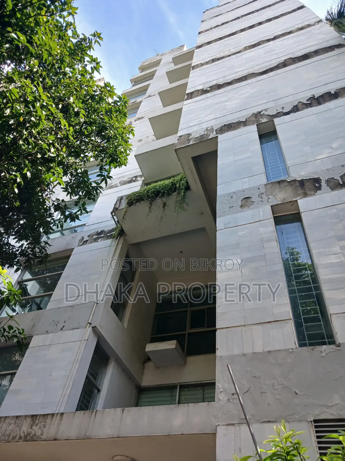 9 Stories Building Full Building for Office Rent at Gulshan in Gulshan