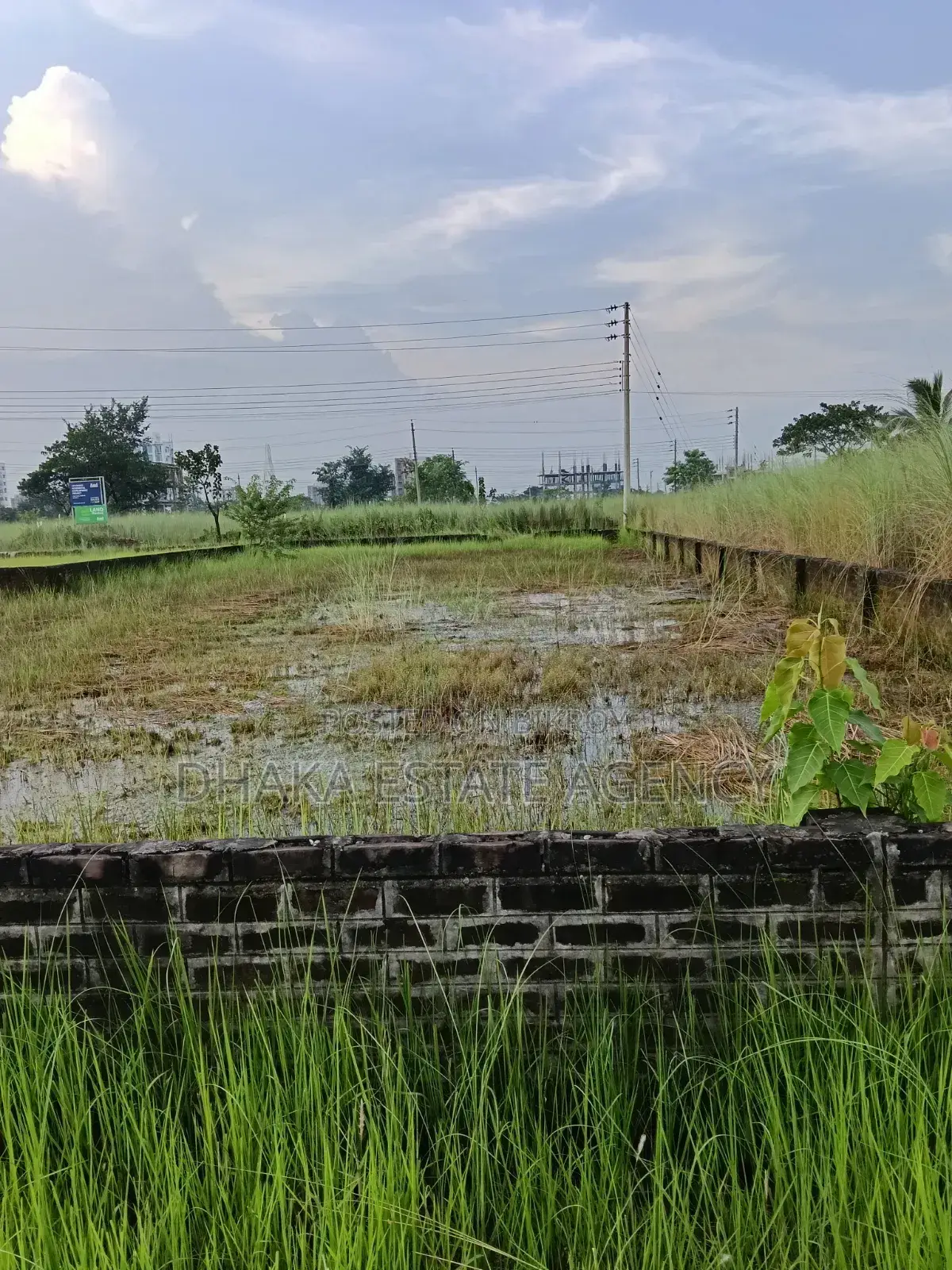 7.50 Katha South Face Block-M in Basundhara