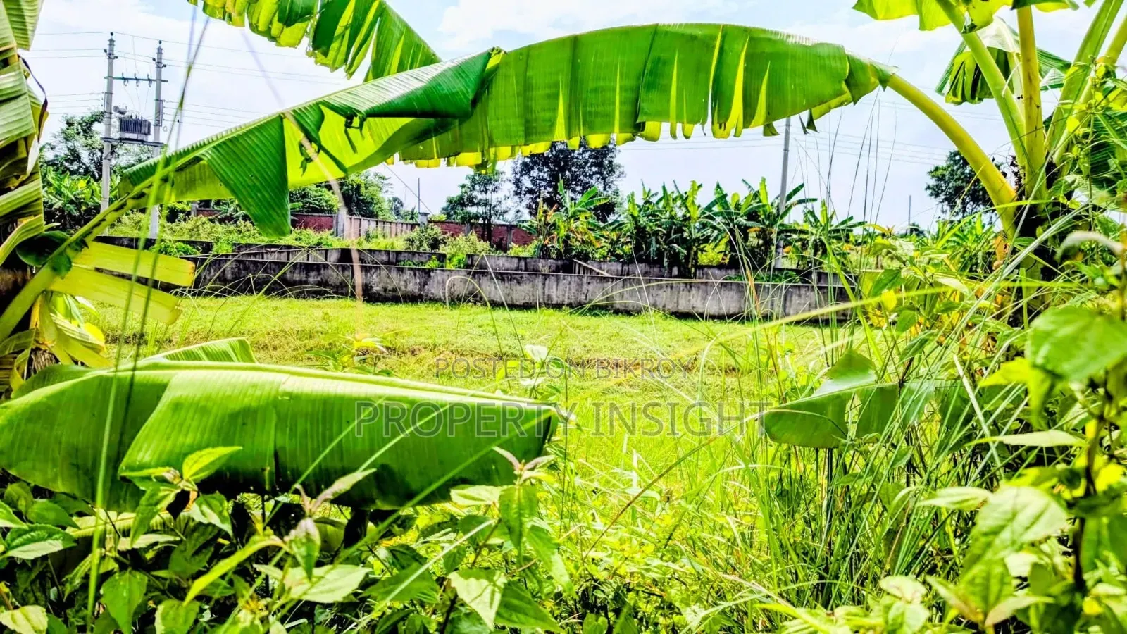 Plot Sale : 2.5 Katha at Aftab Nagar in Aftab Nagar