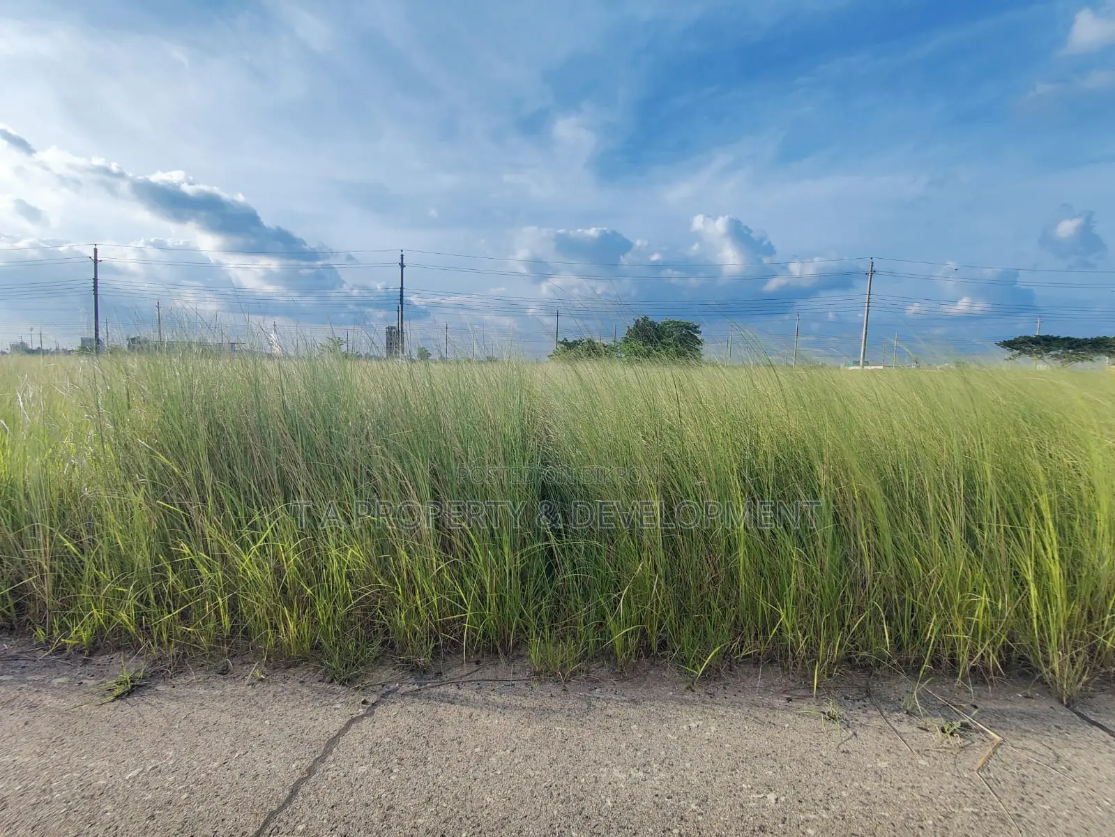 3 Katha South Facing Plot for Sale at N Block, Bashundhara Residential in Basundhara
