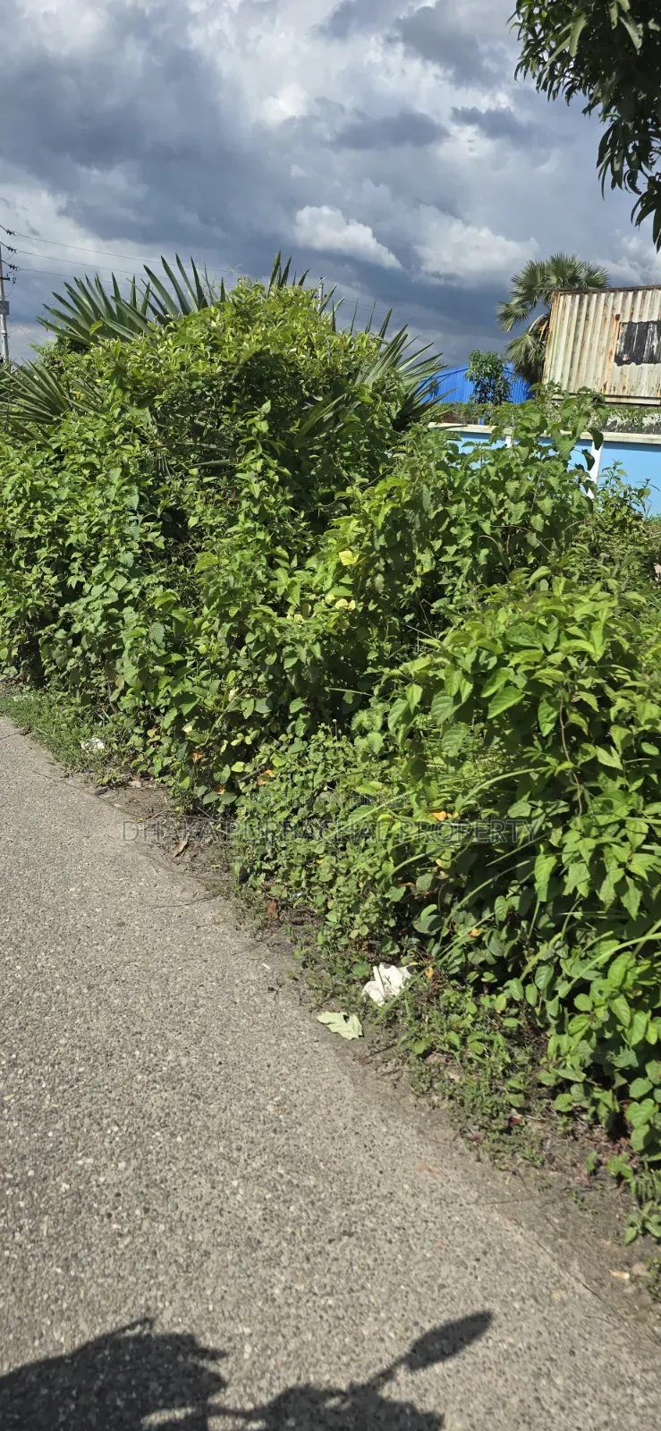 Sector - 24 Lake South Facing Boundary Complete Allotted Plot Sell in Purbachal