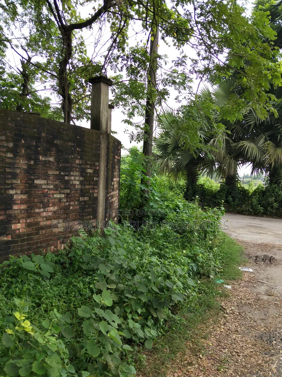 7.5 katha plot for sale at south-west corner in Purbachal sector 26 in Purbachal