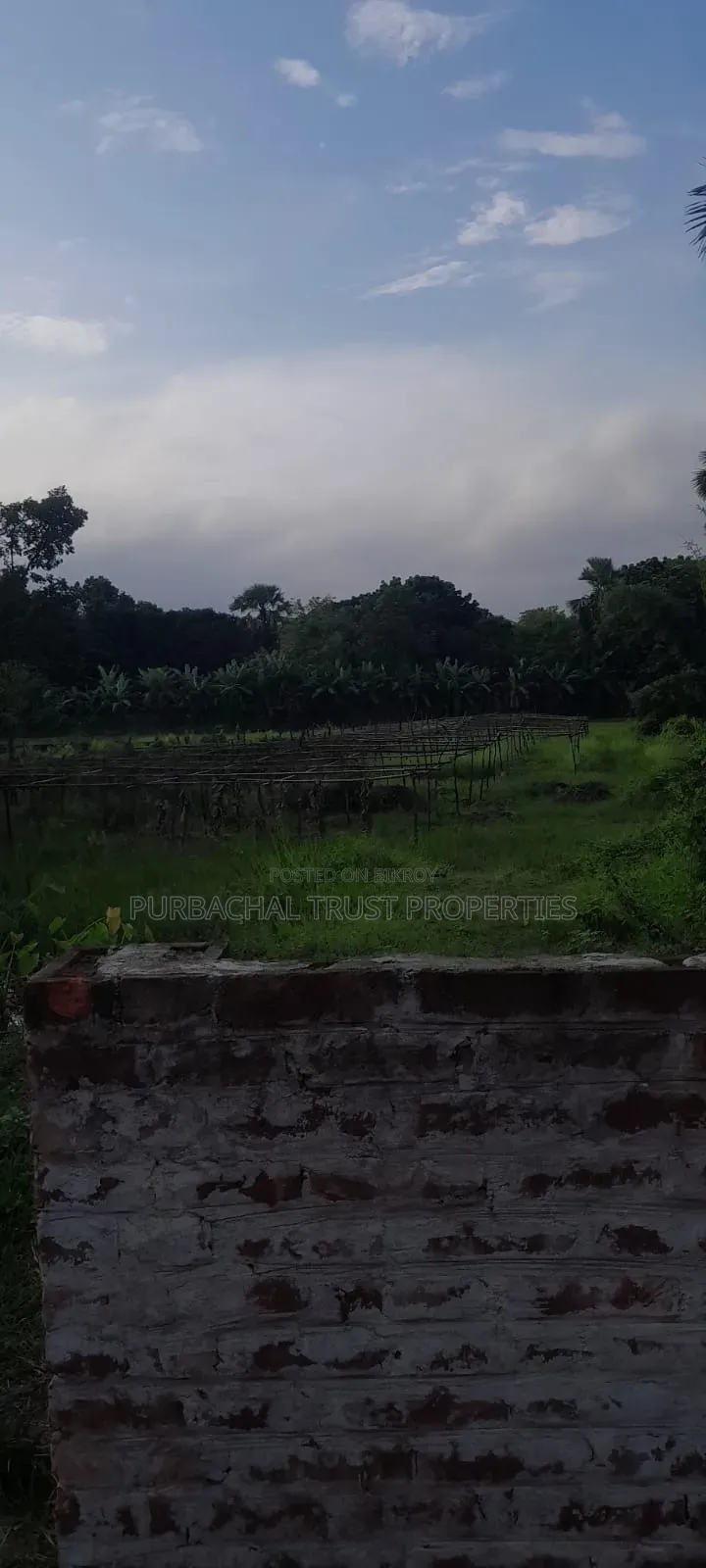 4 Bigha Land For Sale Next To Purbachal Sector 26 in Purbachal