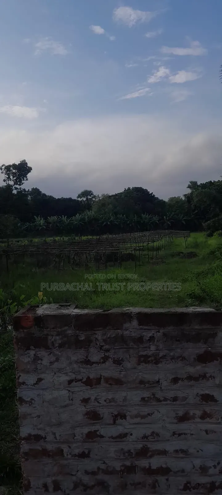 4 Bigha Land For Sale Next To Purbachal Sector 26 in Purbachal
