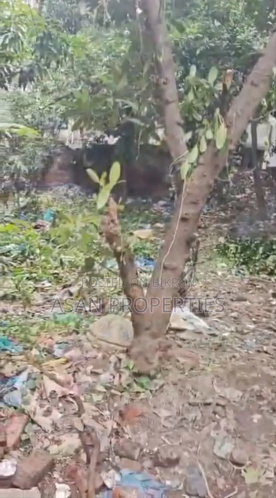 Mirpur 11.5 Expanded Pallabi 5 Katha South Facing Land for Sale in Mirpur