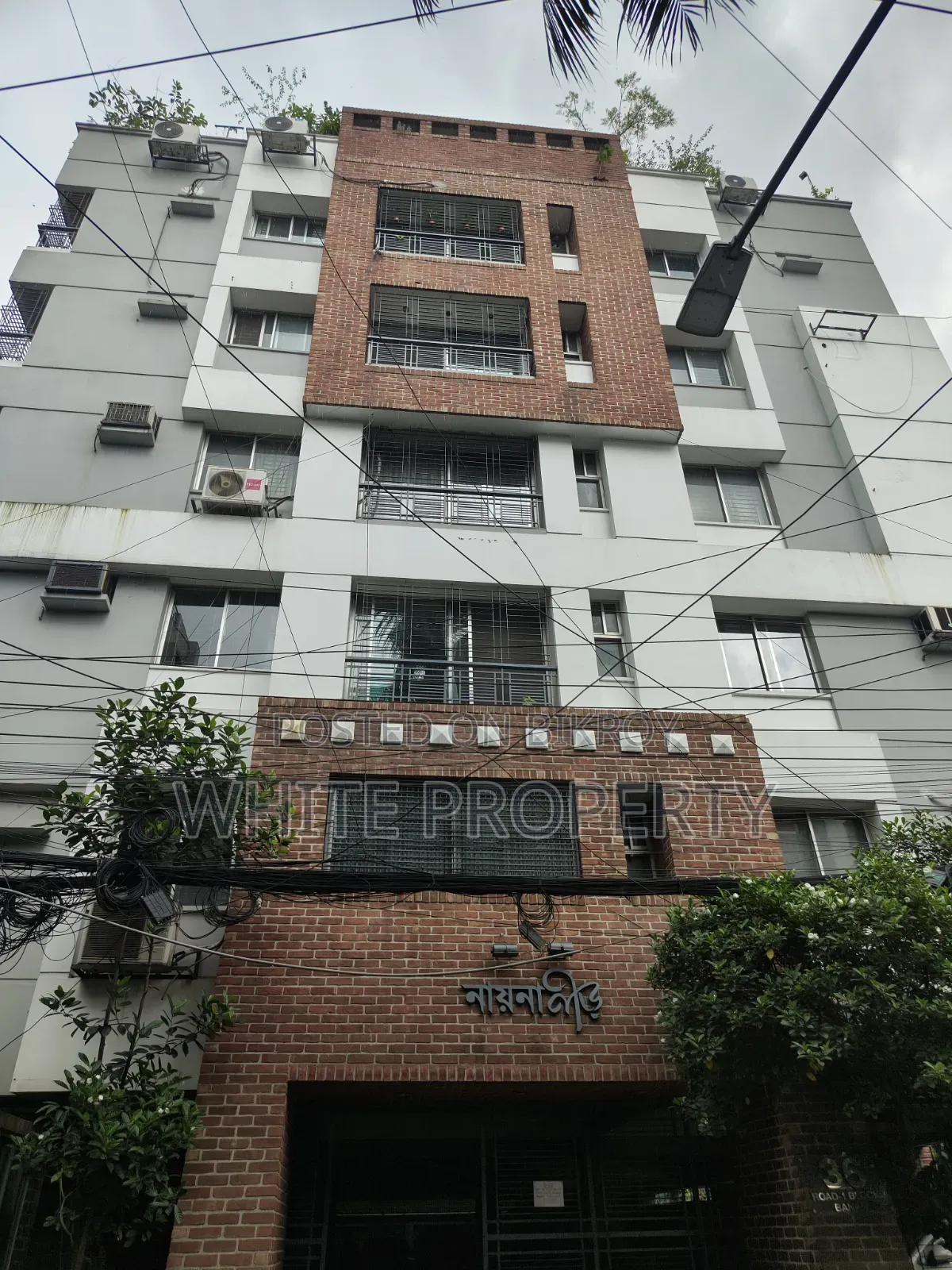 Furnished 3bdrm Apartment in White Property, Banani for rent in Banani