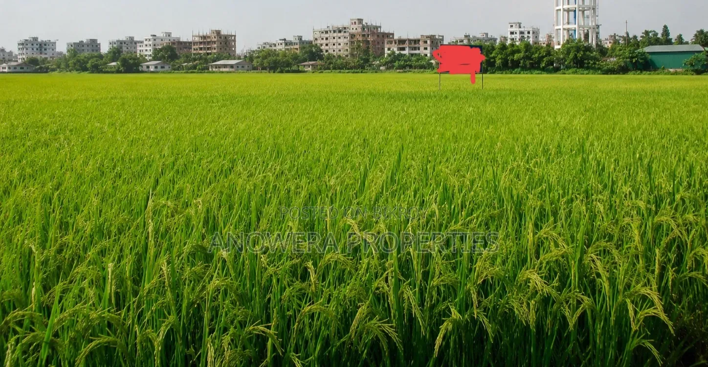 Agricultural Land for Sale Located at Tongi in Gazipur Sadar