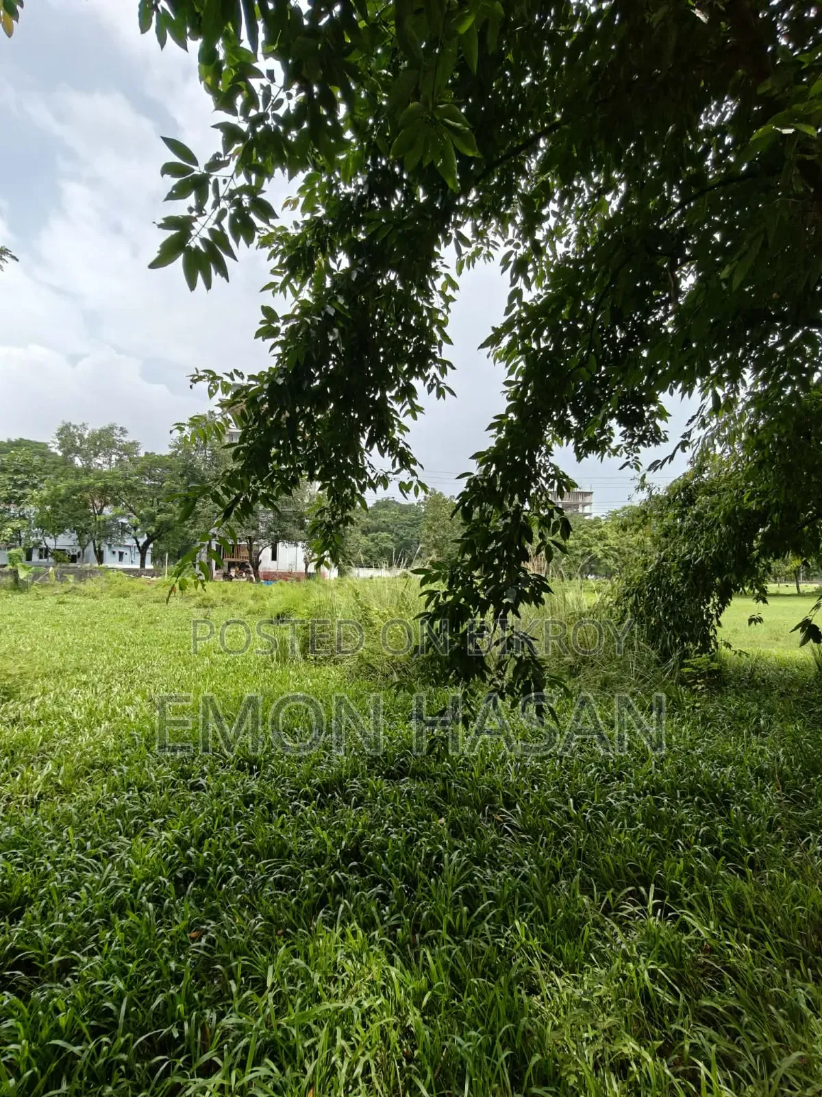 Ready Plot - 3 Katha - Ashulia Model Town in Savar