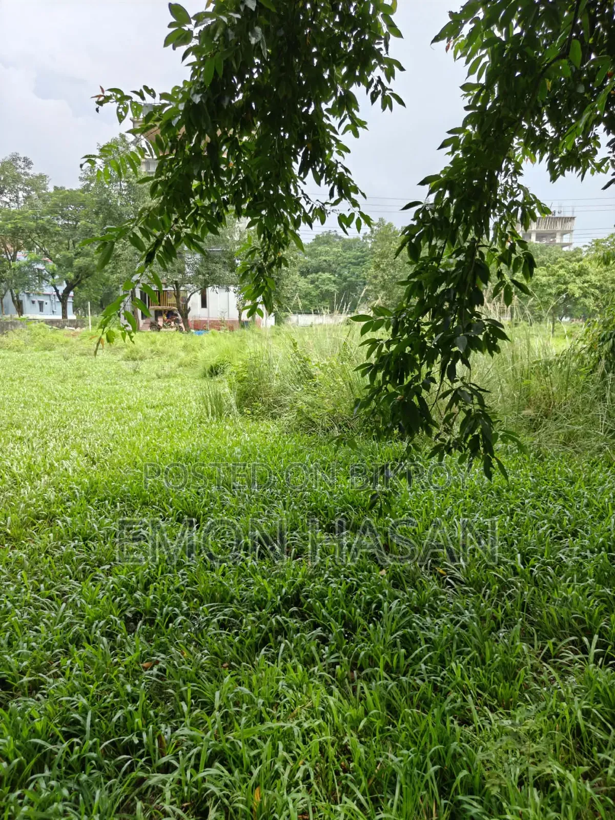 Ready Plot - 3 Katha - Ashulia Model Town in Savar