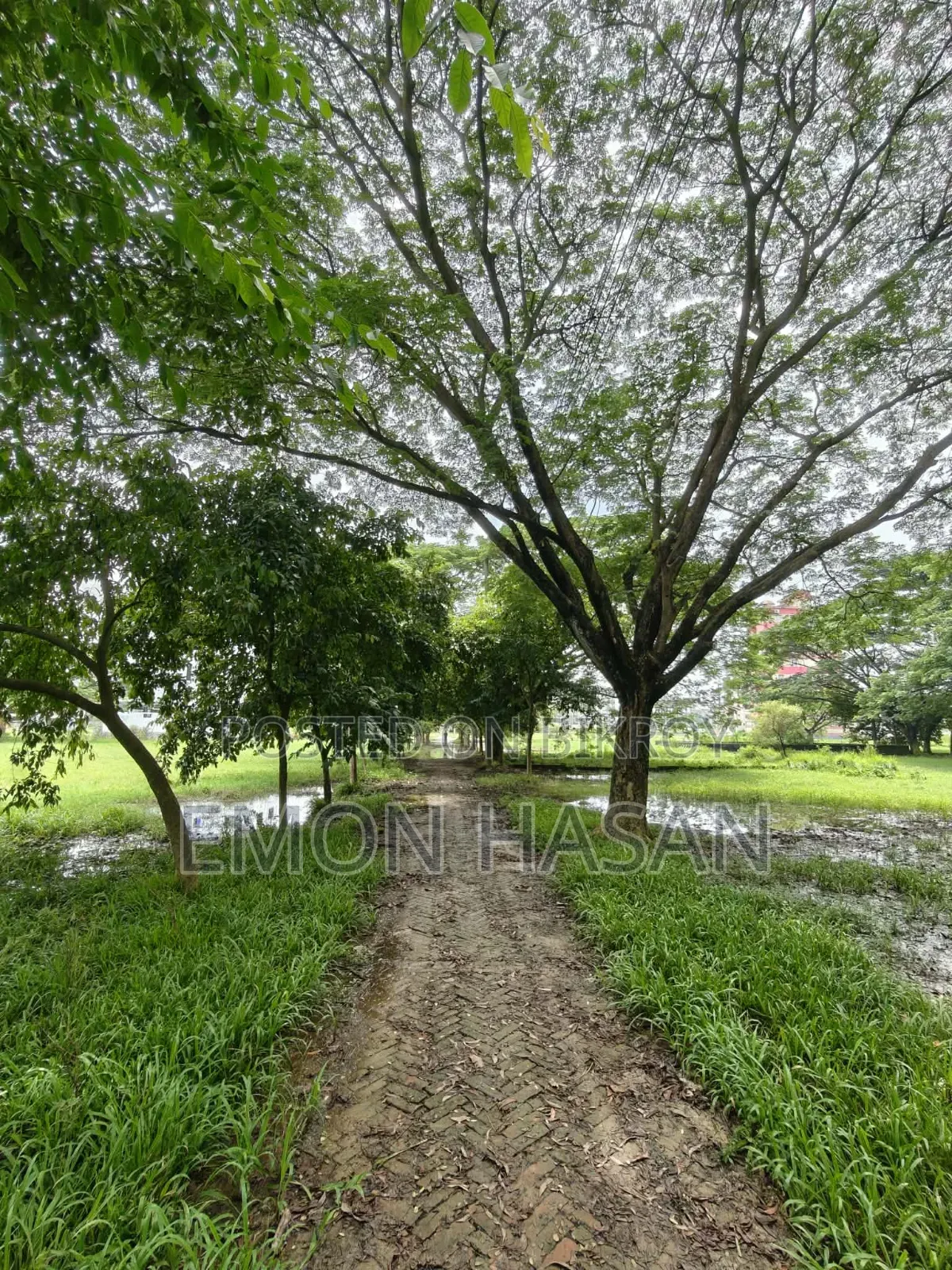 Ready Plot - 3 Katha - Ashulia Model Town in Savar