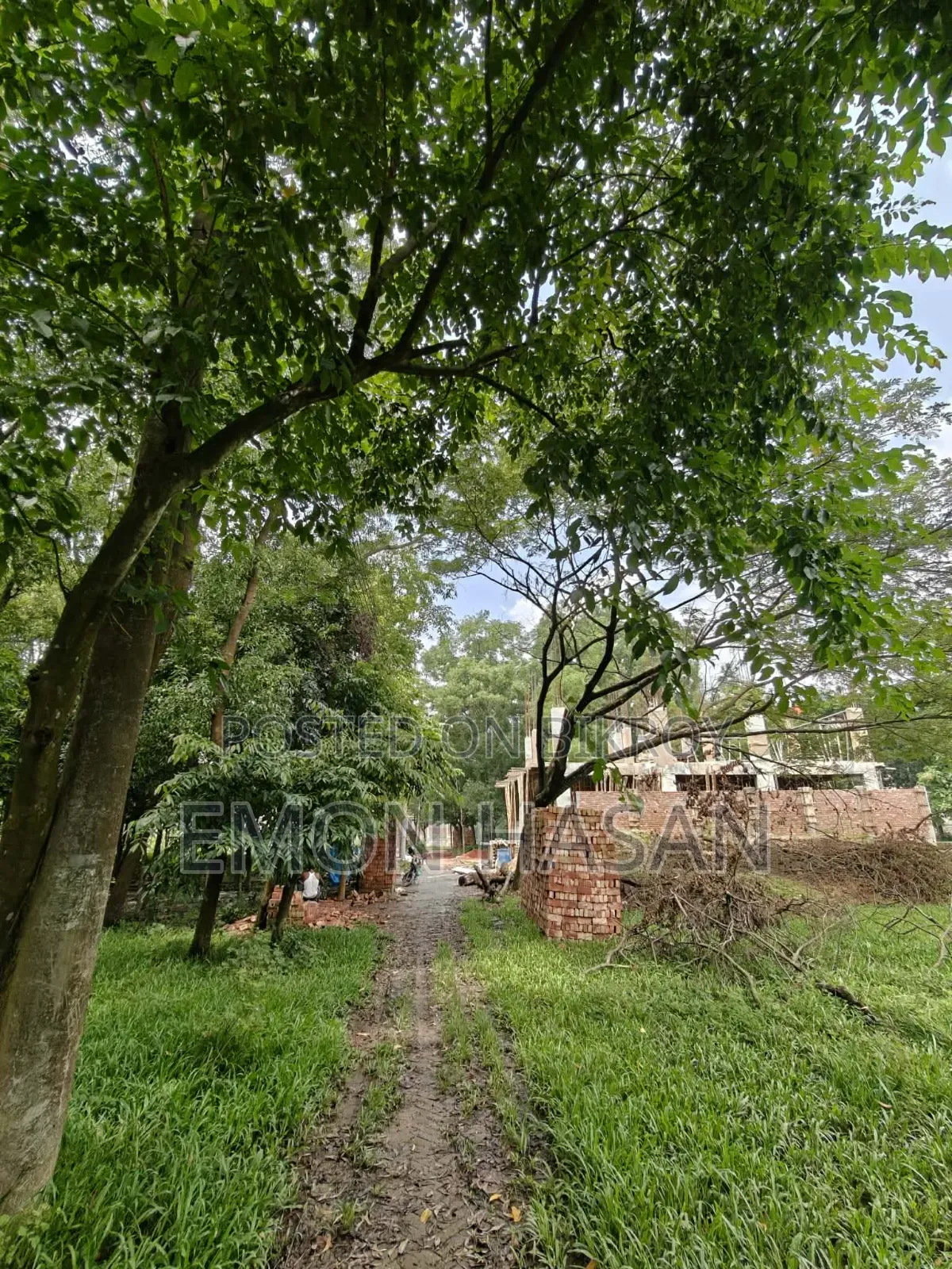 Ready Plot - 3 Katha - Ashulia Model Town in Savar
