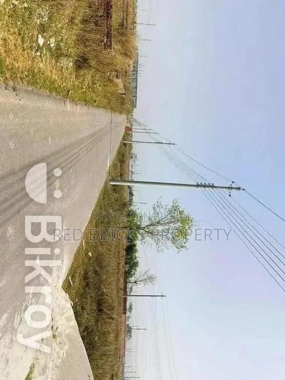 P-Block // 5 Katha // South-Facing // Plot Sale // Bashundhara R/A in Basundhara