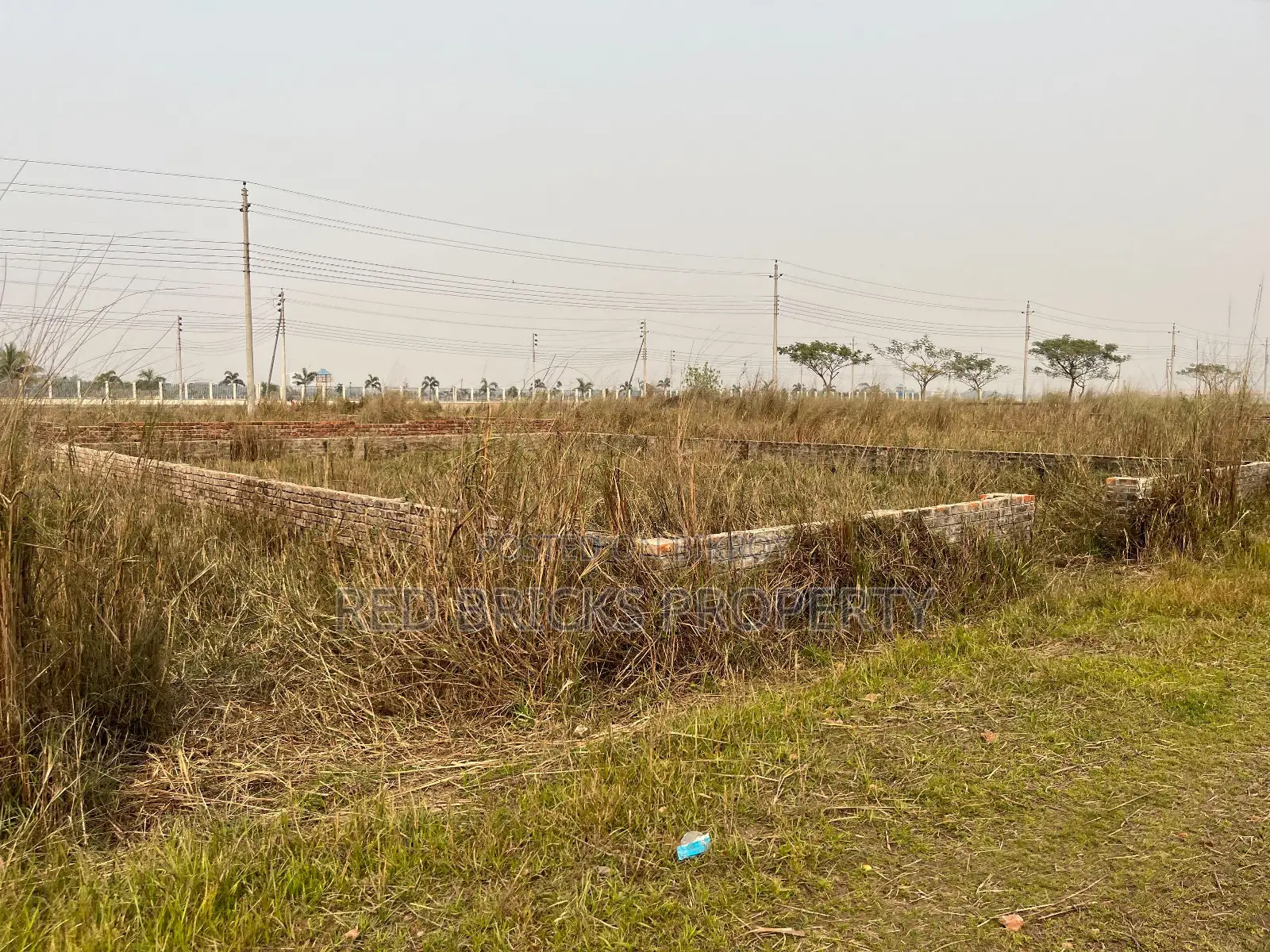 P-Block // 5 Katha // South-Facing // Plot Sale // Bashundhara R/A in Basundhara