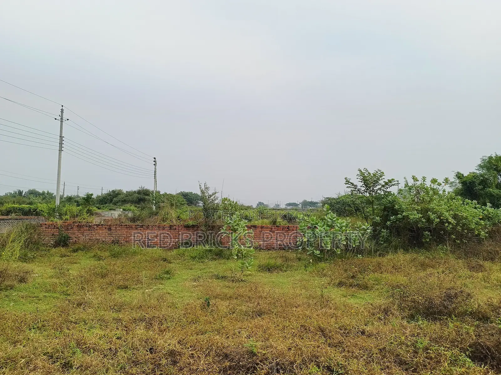 N Block 3 Katha South Facing Plot at Bashundhara in Basundhara