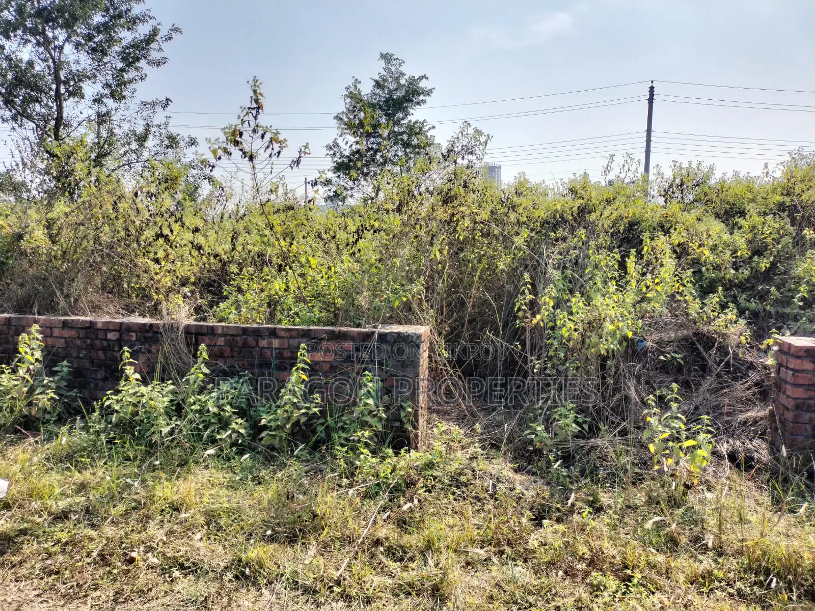 East Facing Plot in N Block in Basundhara