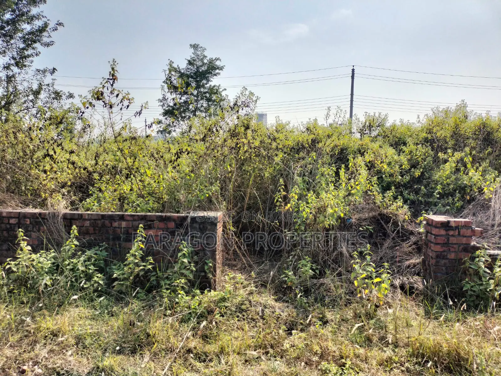 East Facing Plot in N Block in Basundhara