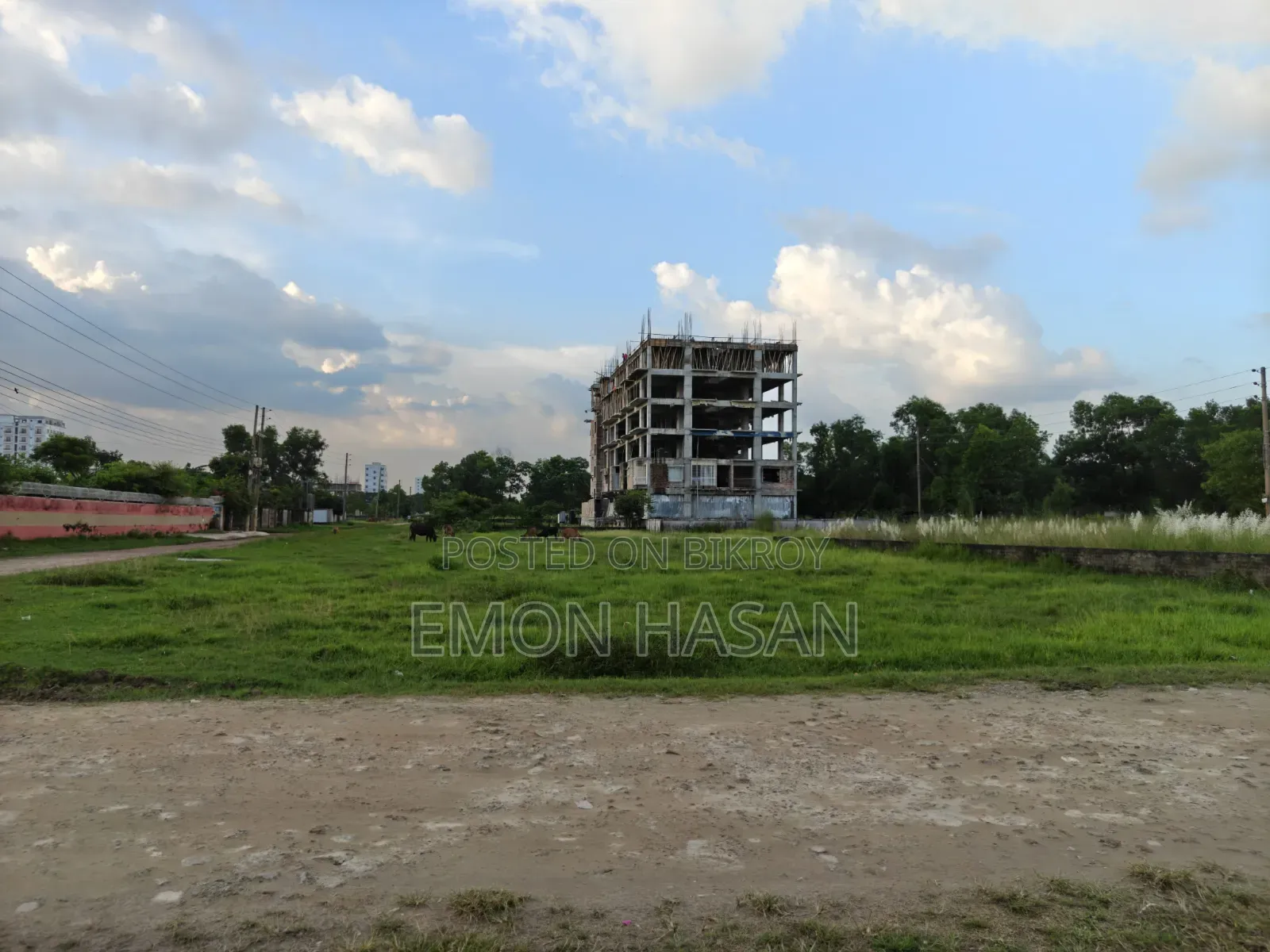Ready Plot - 12 Katha - Ashulia Model Town in Savar
