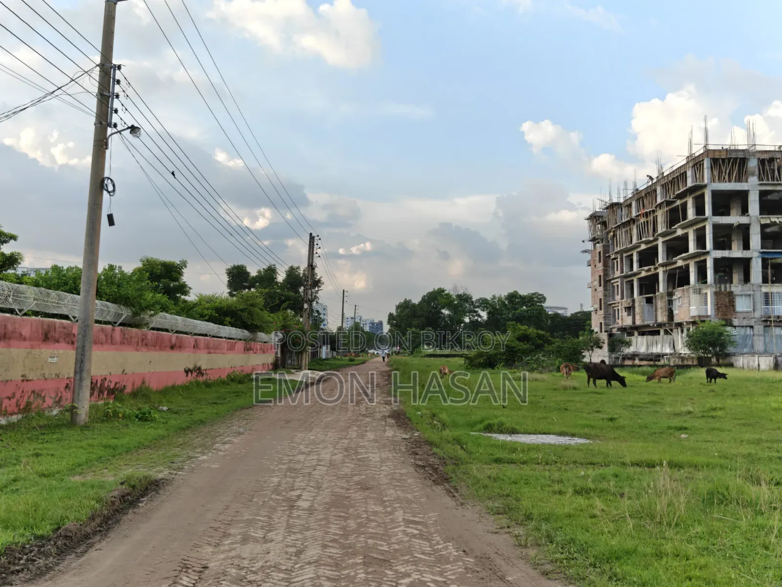 Ready Plot - 12 Katha - Ashulia Model Town in Savar