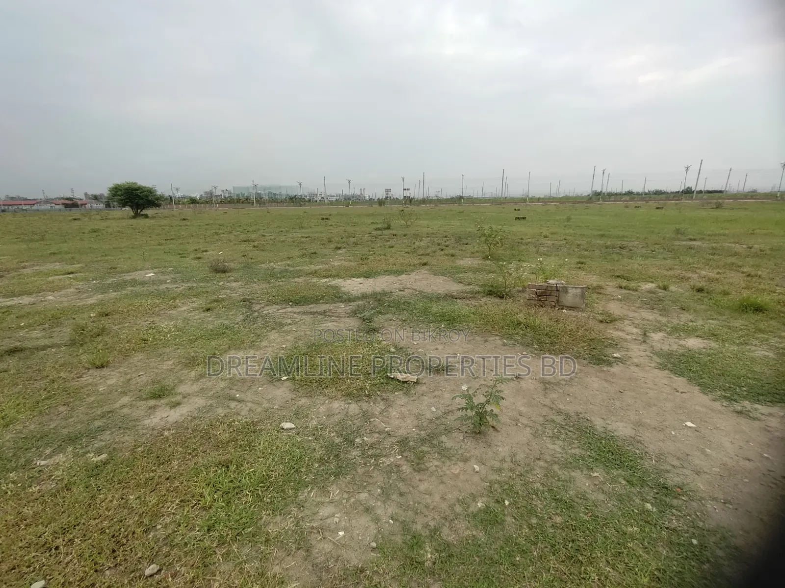 N-Extension, 5-Katha South Face Plot Urgent Sell in Bashundhara R /A in Basundhara