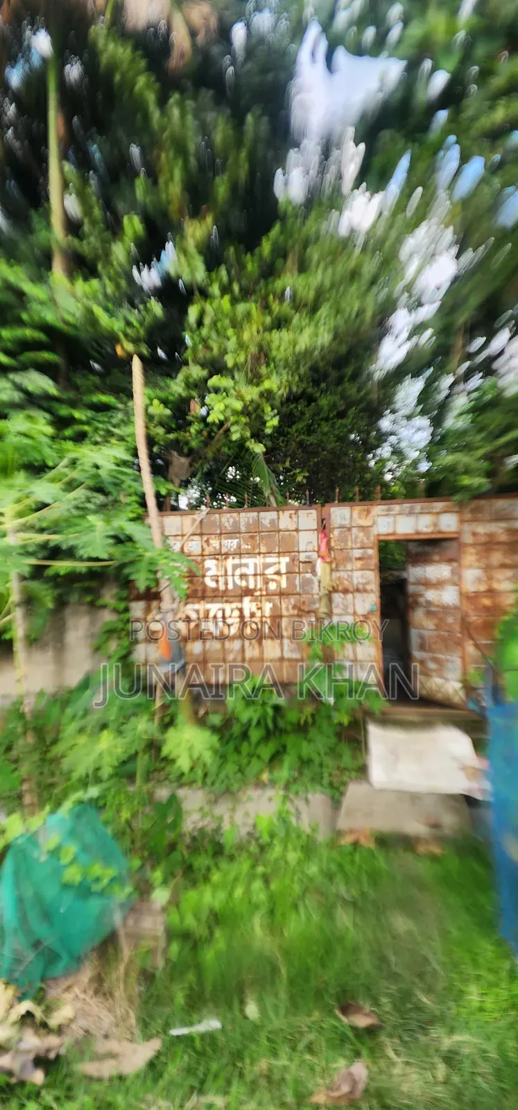 Jomi Bhara in Diabari