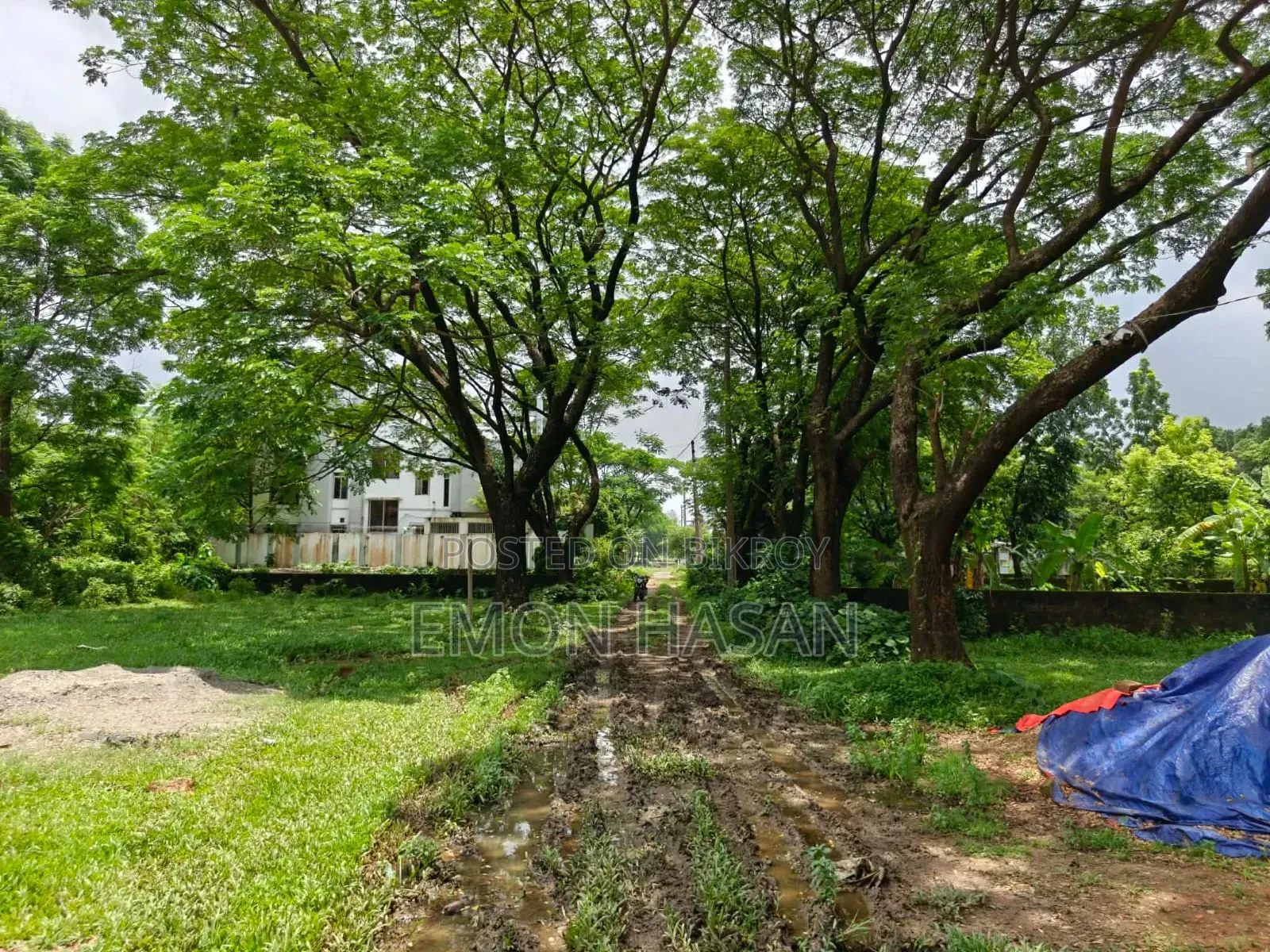 Ready Plot - 10 Katha - Ashulia Model Town in Savar