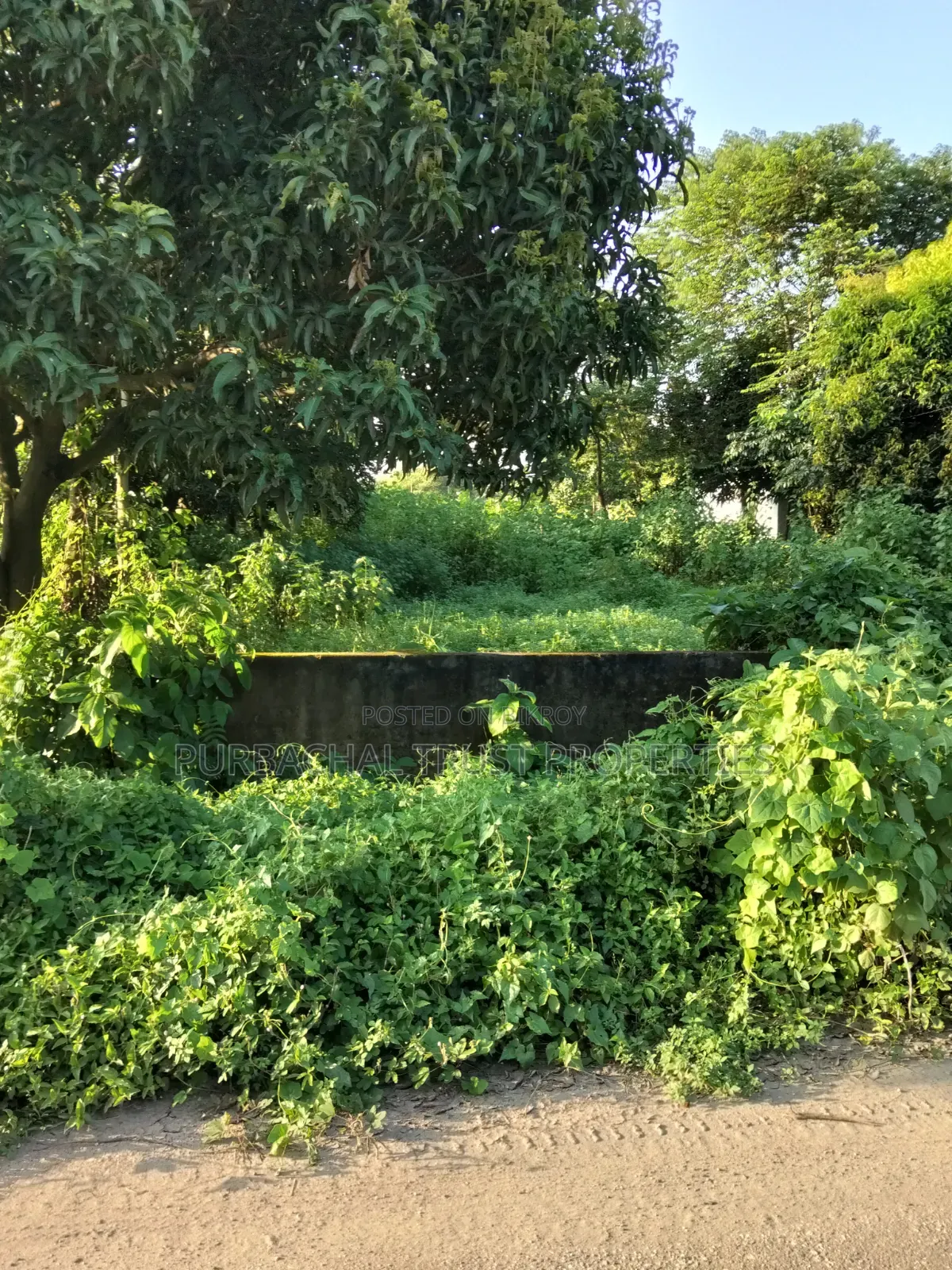 পূর্বাচল ১৩ নং সেক্টরে ৩ কাঠা প্লট বিক্রি in Purbachal