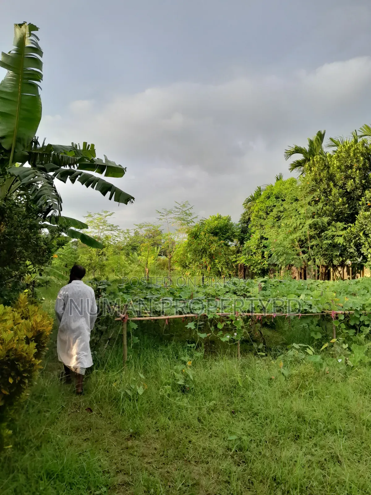 2bdrm Villa in Jalshiri Abason for rent in Jalshiri Abason