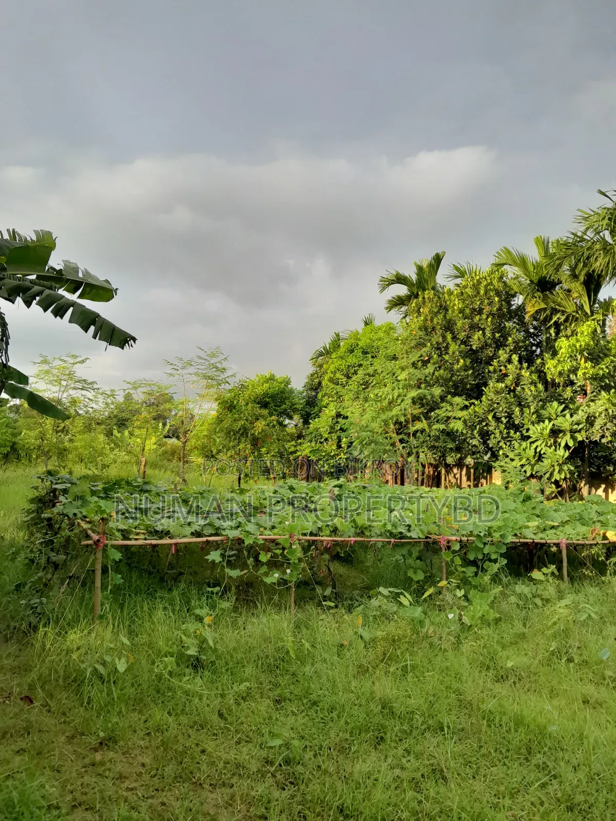 2bdrm Villa in Jalshiri Abason for rent in Jalshiri Abason