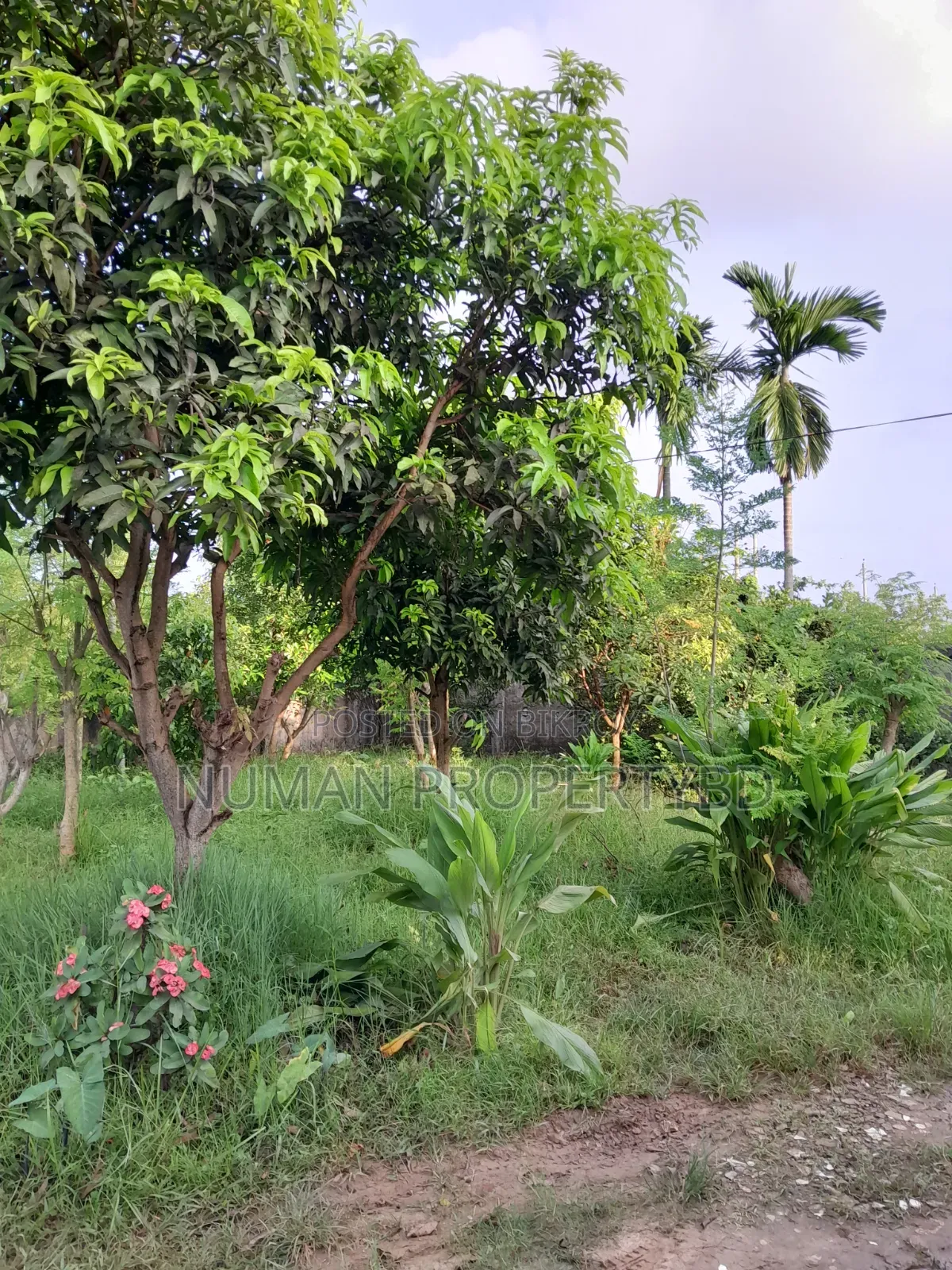 2bdrm Villa in Jalshiri Abason for rent in Jalshiri Abason