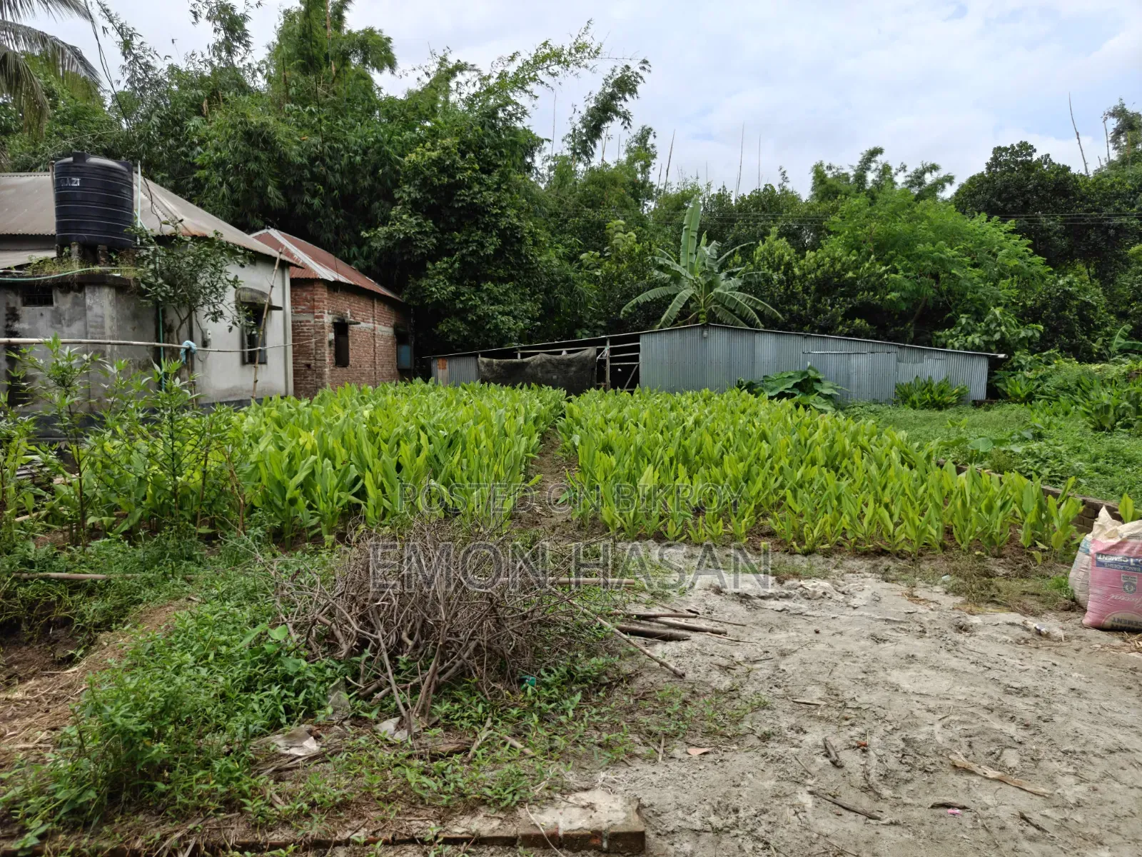 5.33 Decimal Plot - Birulia in Savar