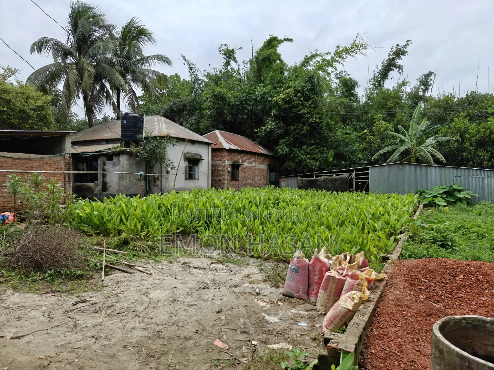 5.33 Decimal Plot - Birulia in Savar