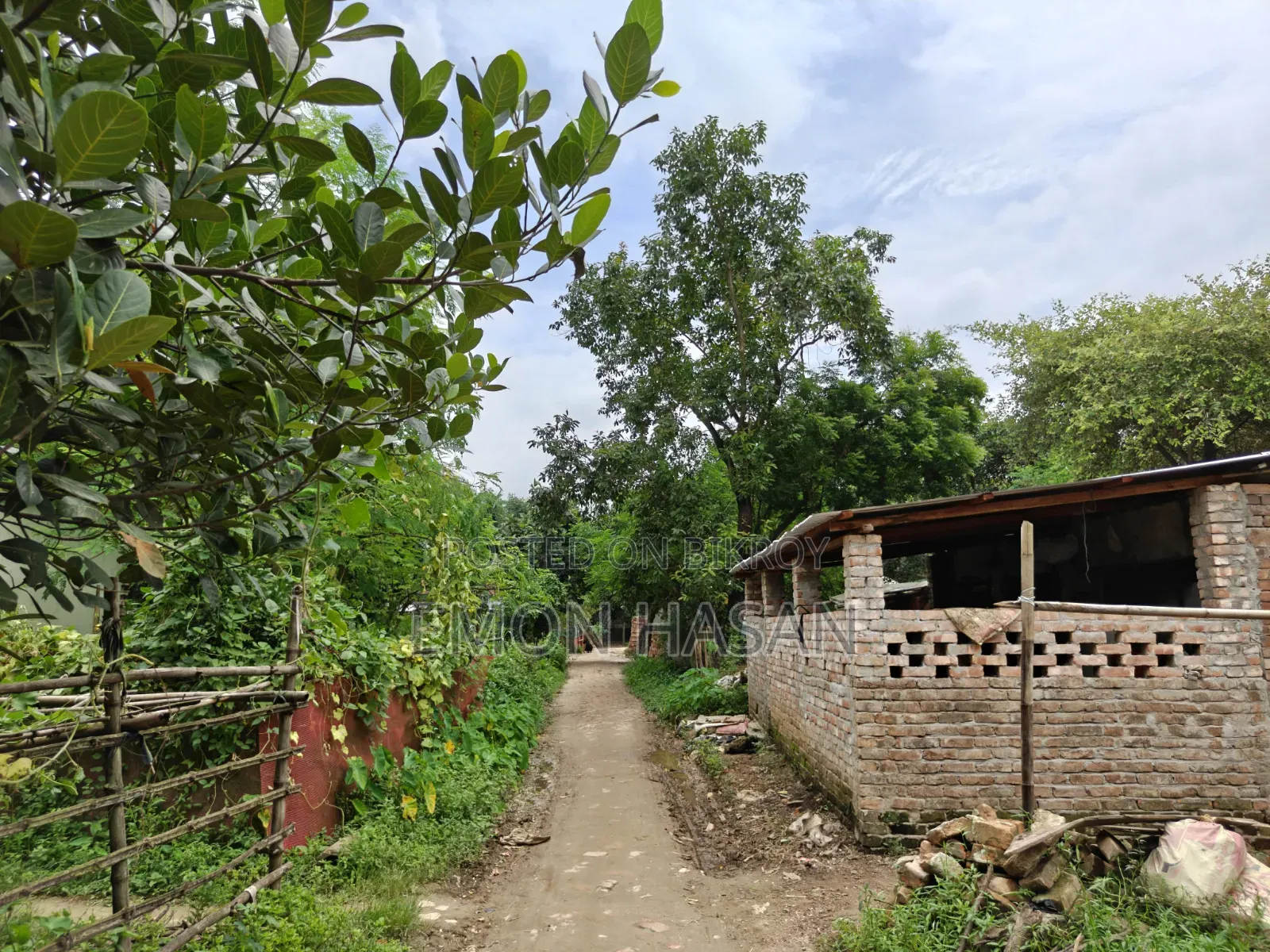 5.33 Decimal Plot - Birulia in Savar