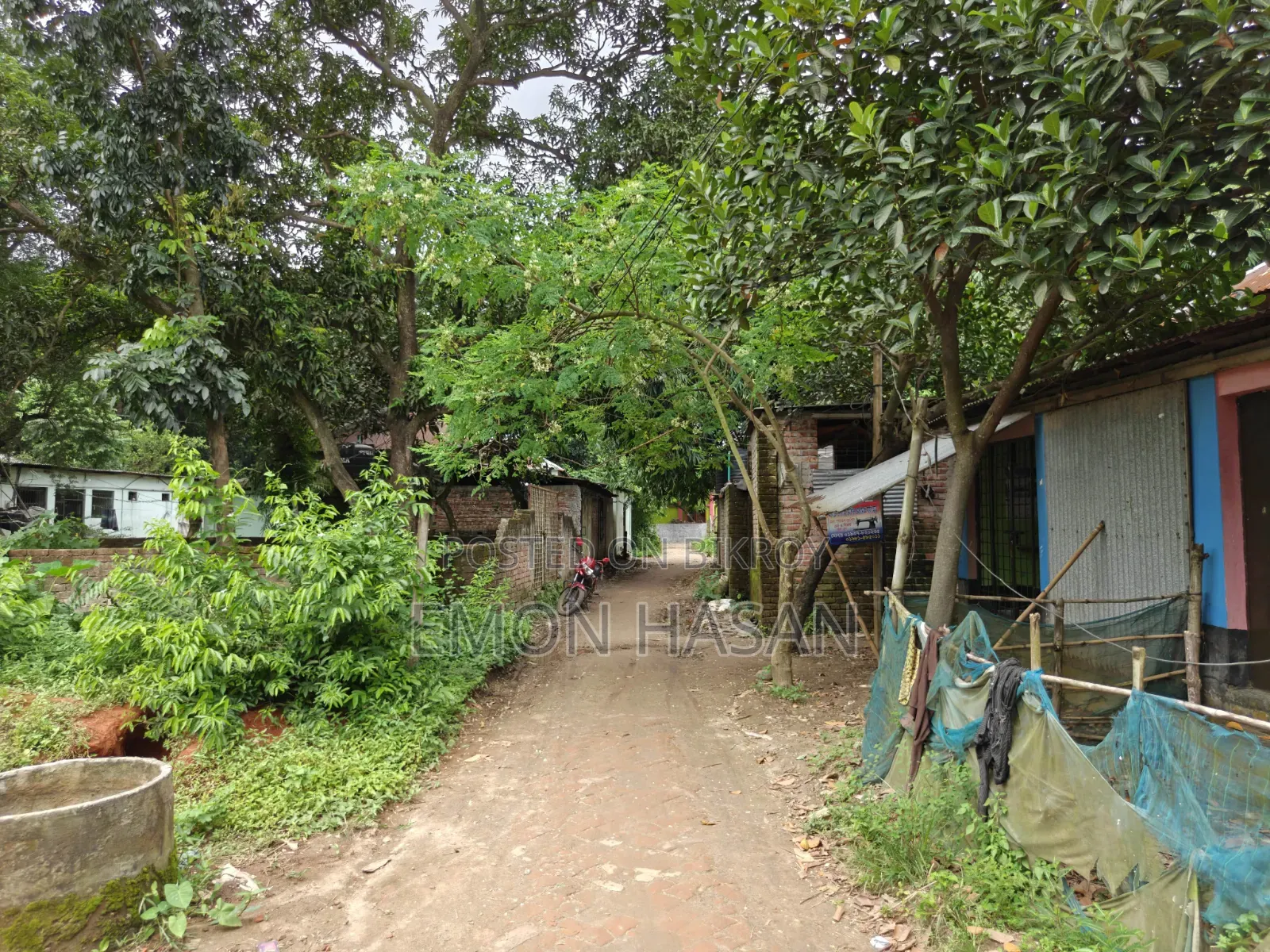 5.33 Decimal Plot - Birulia in Savar