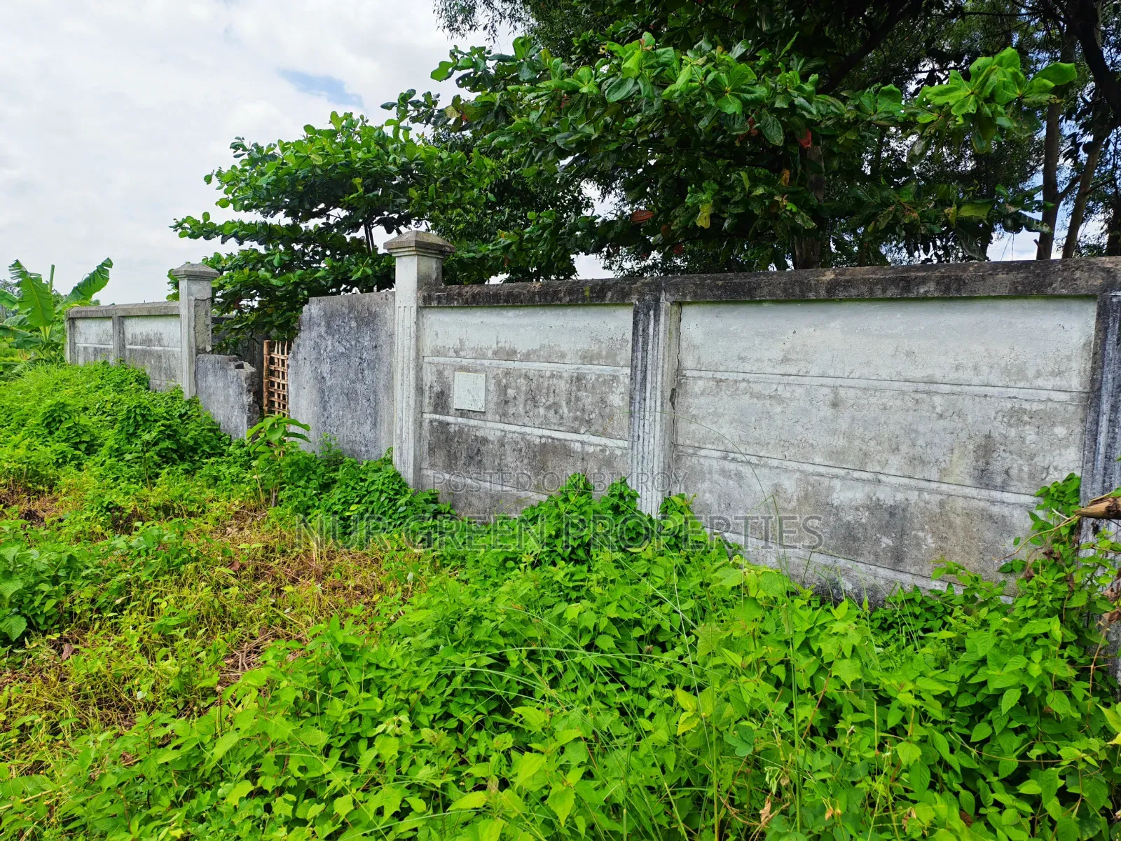৫ কাঠা দক্ষিণমুখী প্লট বিক্রয় লেক ড্রাইভ রোড in Purbachal
