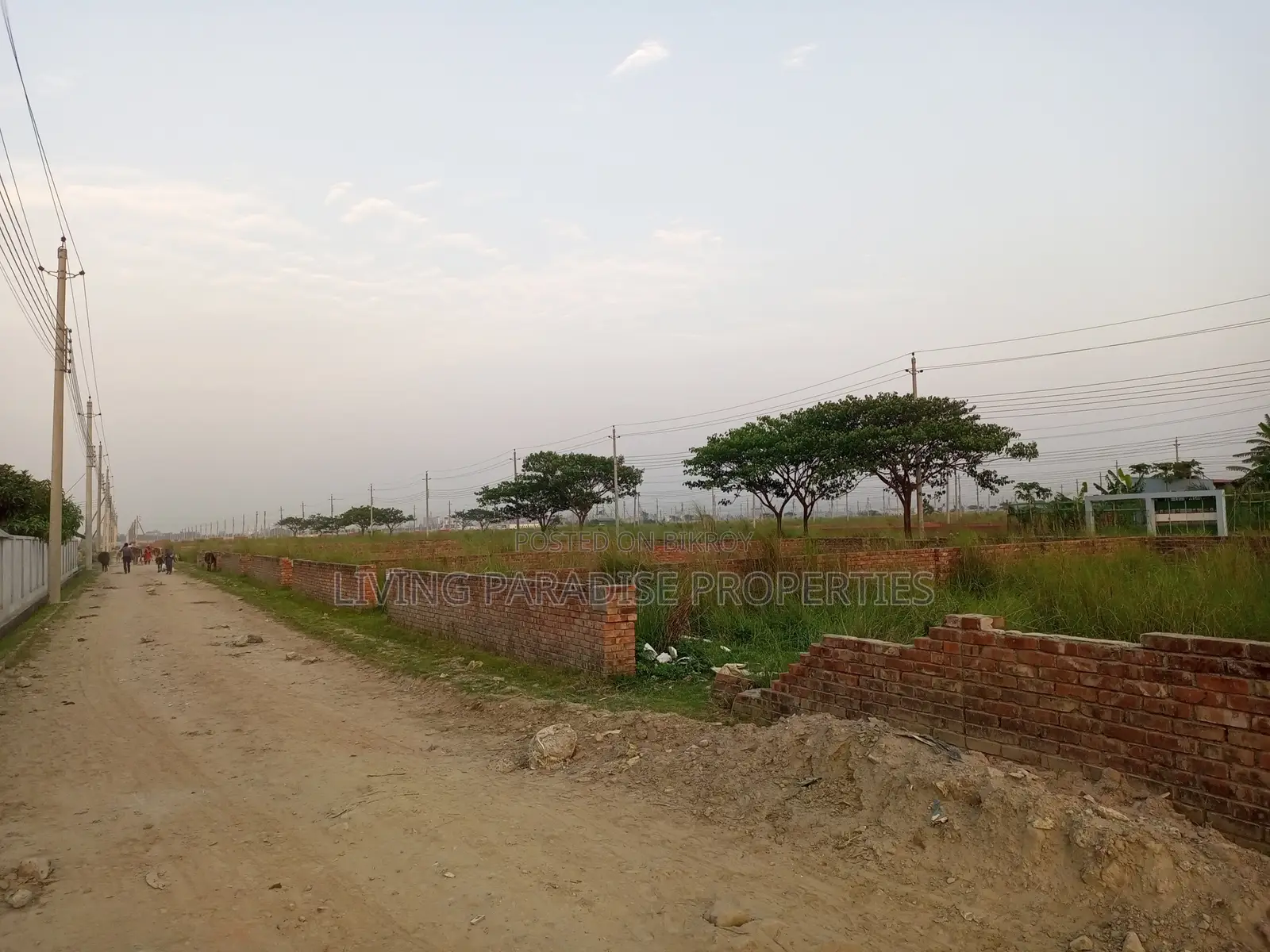 P=Block~North Face~4 Katha Ready Plot Sale in Basundhara