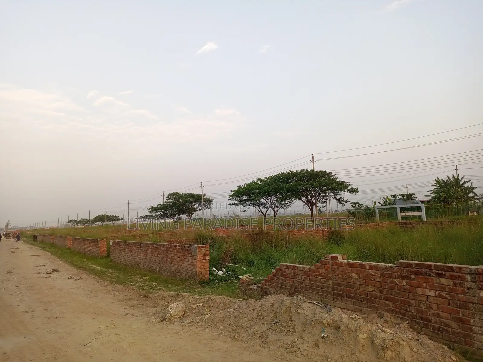 P=Block~North Face~4 Katha Ready Plot Sale in Basundhara