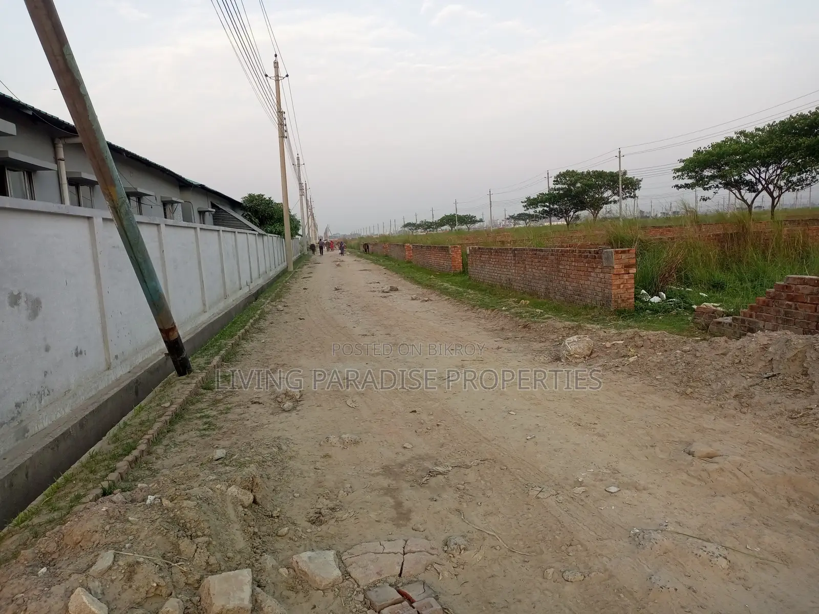 P=Block~North Face~4 Katha Ready Plot Sale in Basundhara