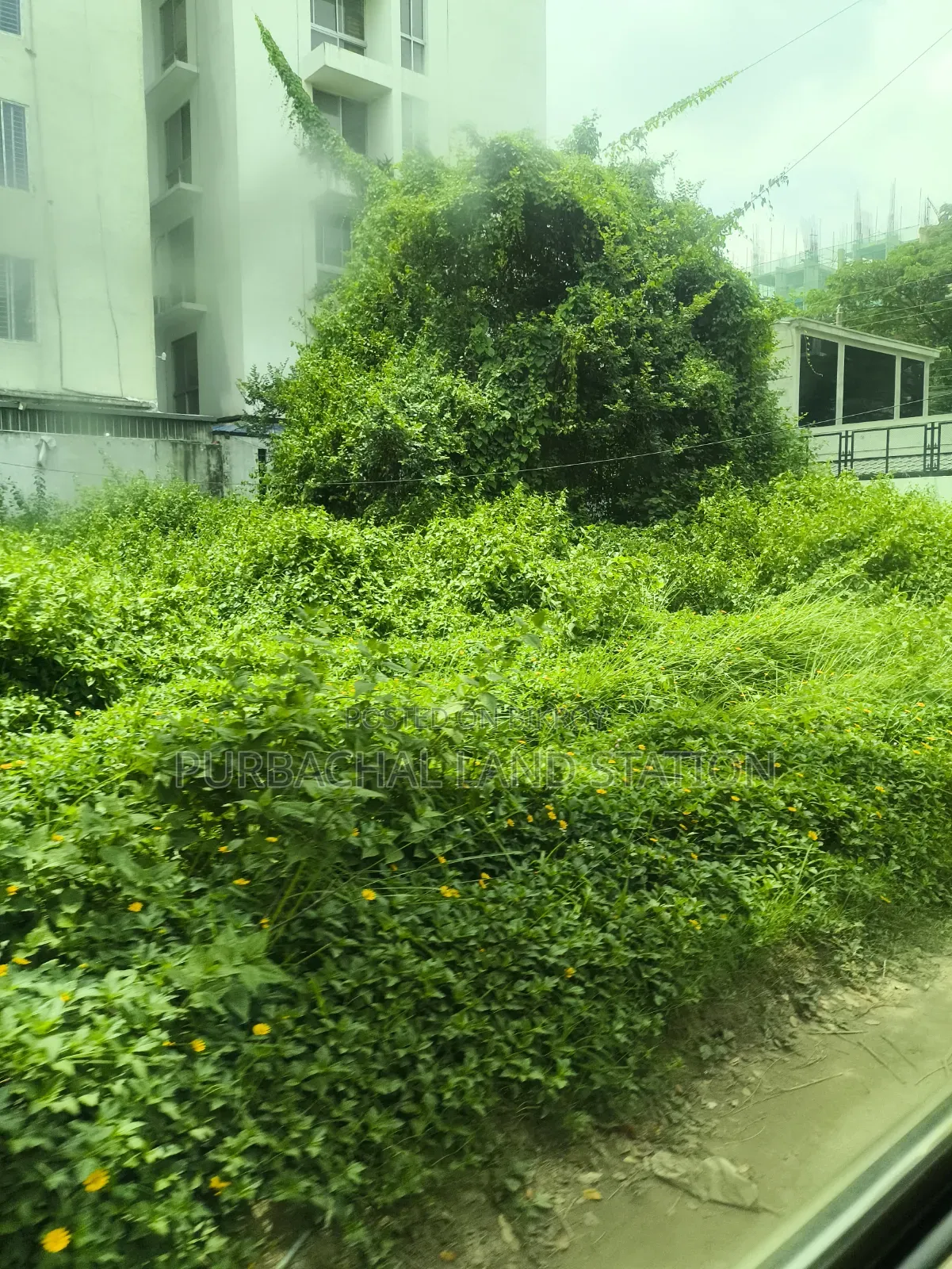 Minimum Price Sector:13,East Face 5 Katha Plot Urgent Salin Purbachal in Purbachal
