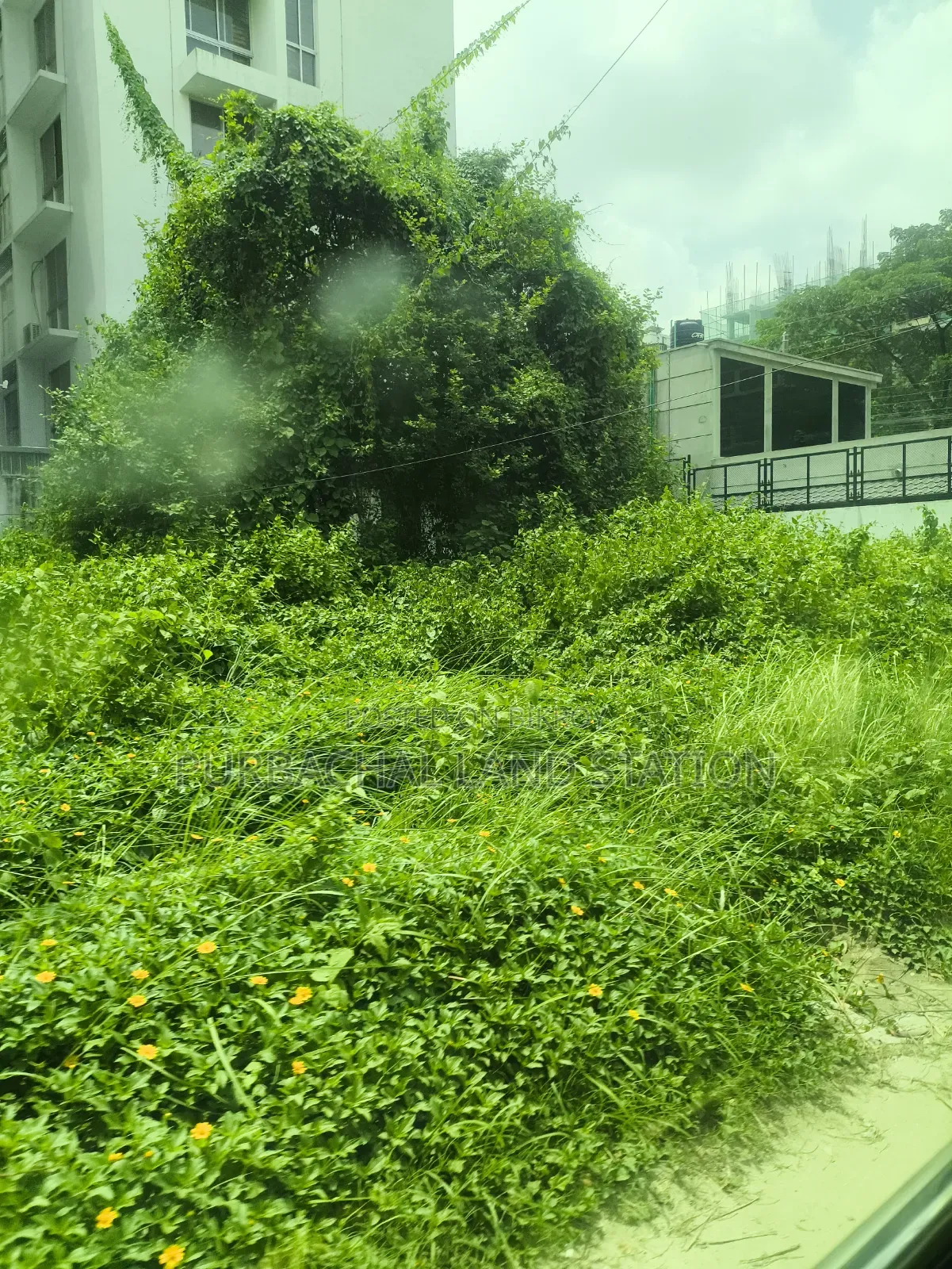 Minimum Price Sector:13,East Face 5 Katha Plot Urgent Salin Purbachal in Purbachal